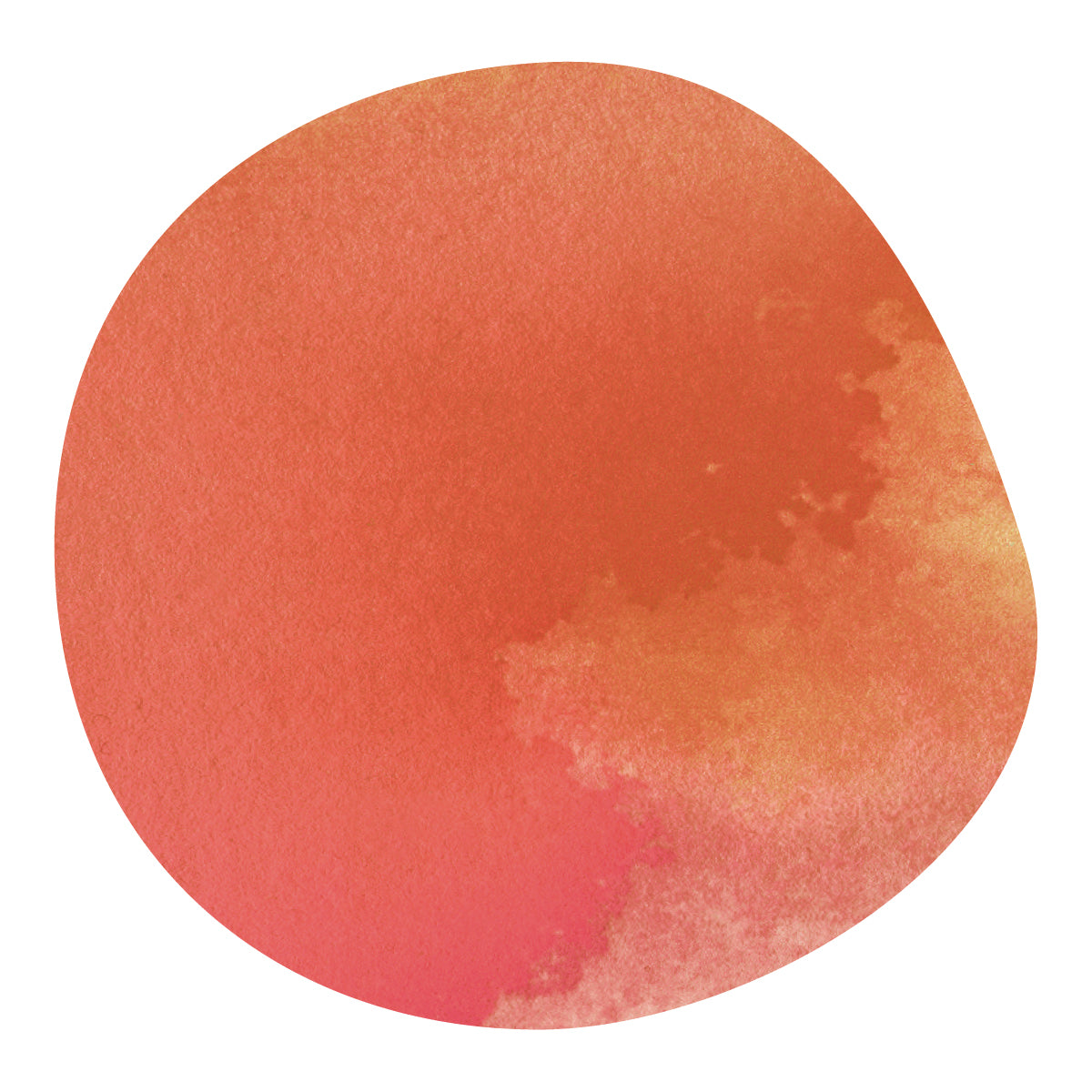 FAMILIA DIAZ -Pacamara- / El Salvador