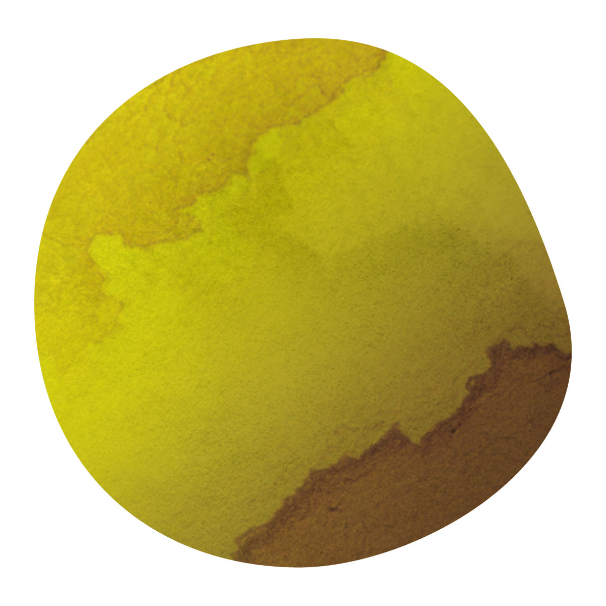 ANASTACIO CHAMBI -Bourbon & Geisha- / Peru