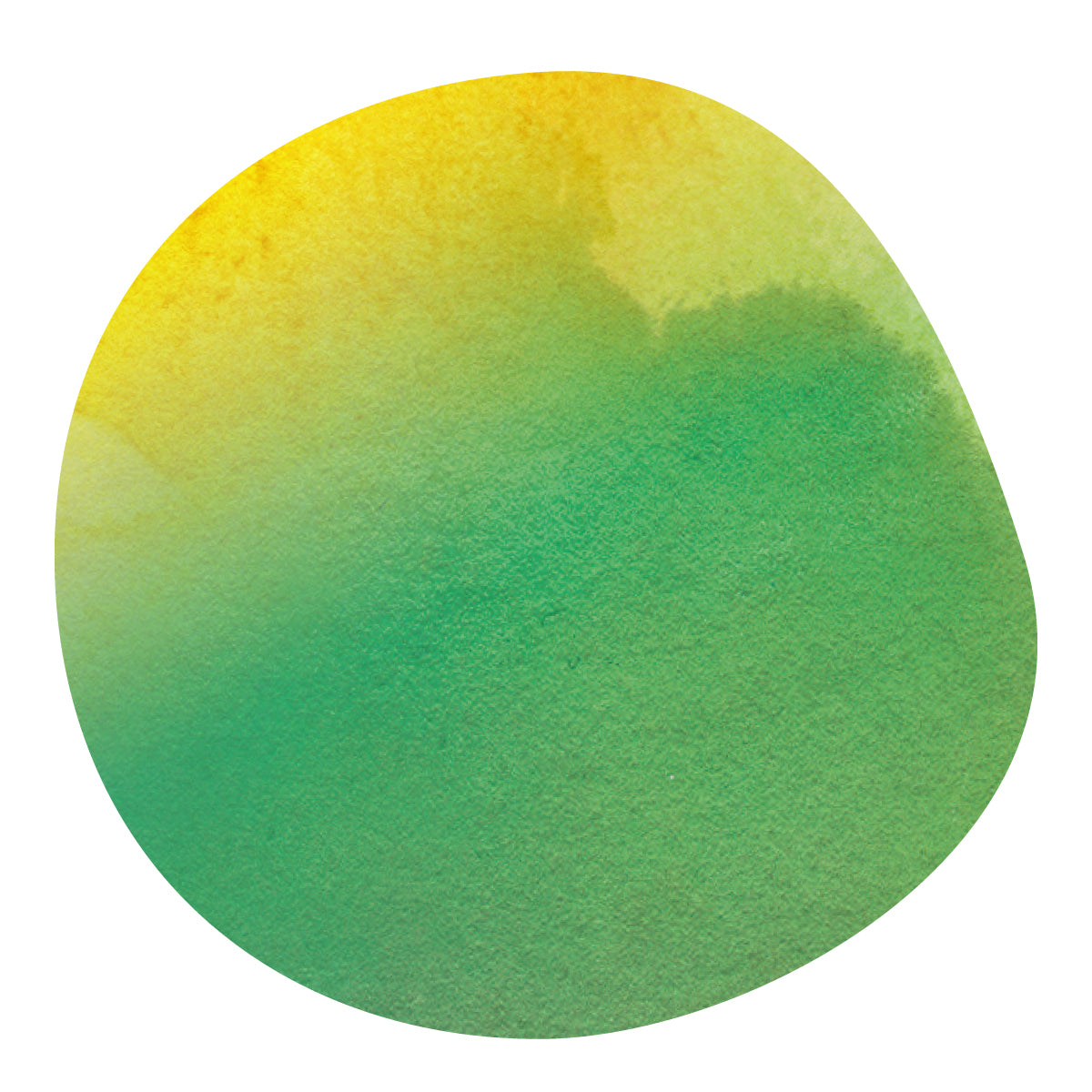 DIDIMO GUZMAN -Castillo- / Colombia