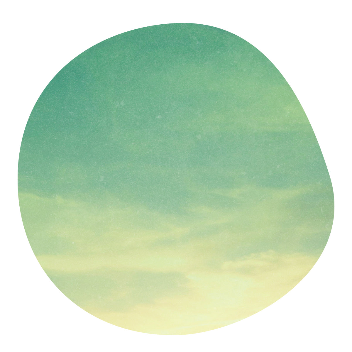 JUAN CARLOS JUAREZ - Geisha