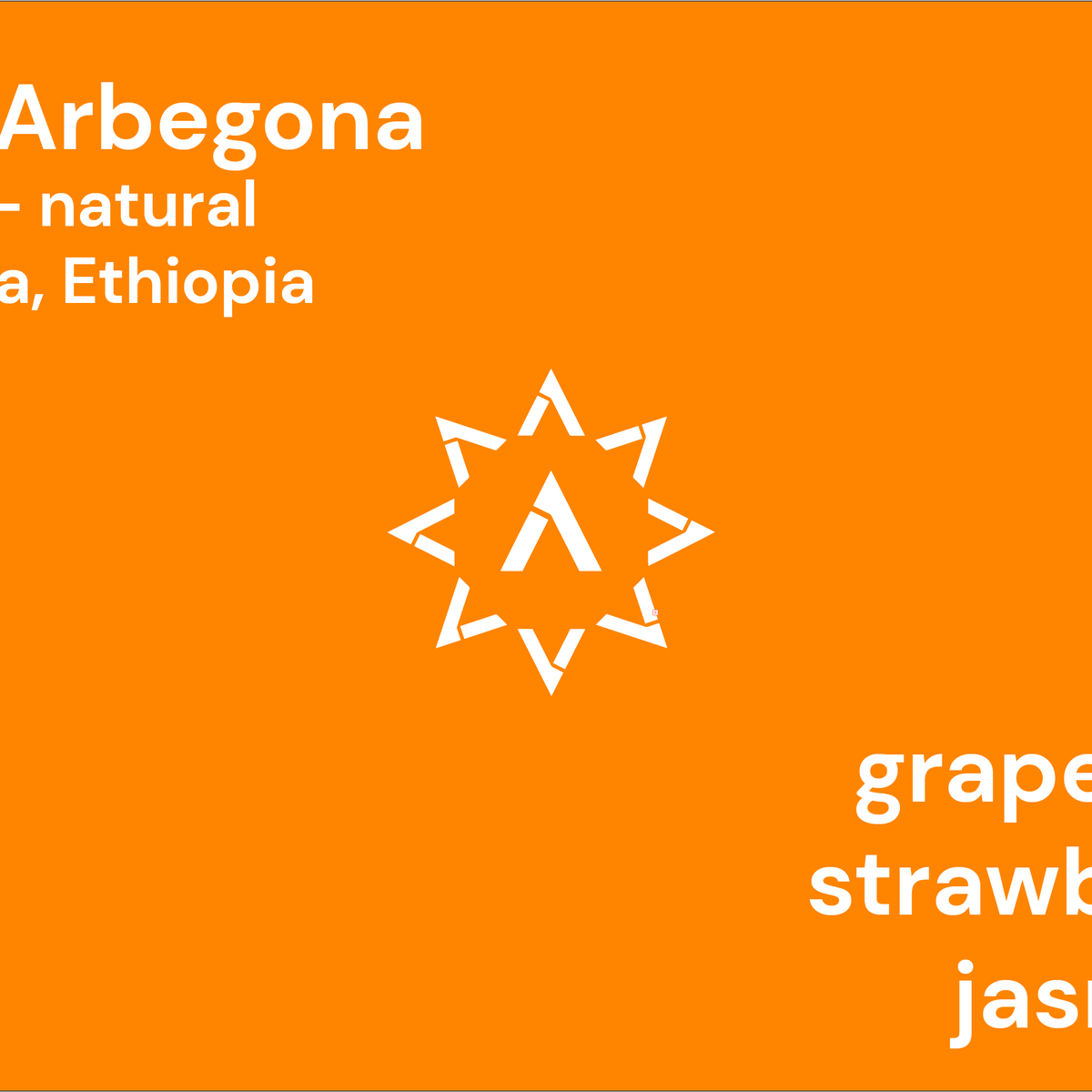 Elto Arbegona packshot