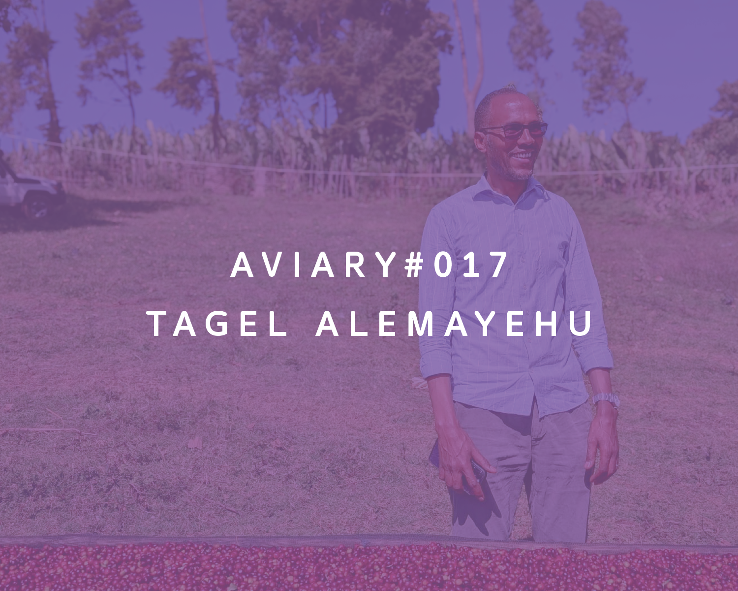 017 - Tagel Alemayehu packshot