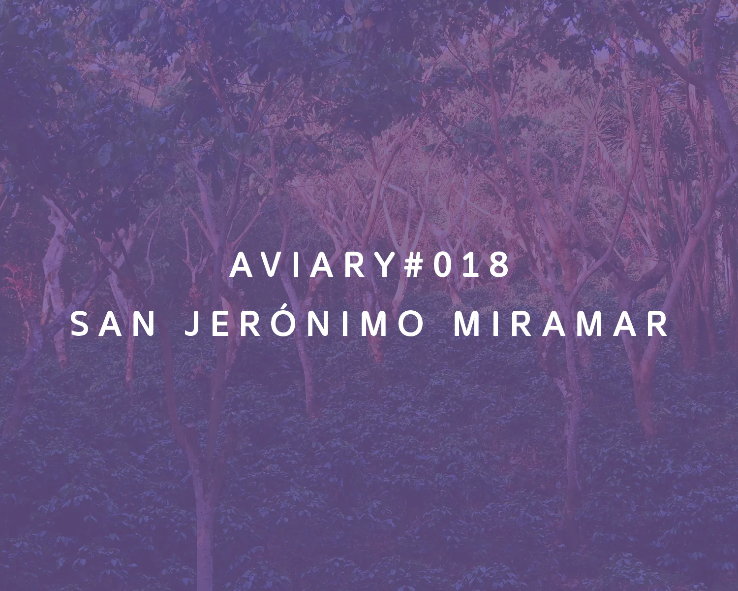 San Jerónimo Miramar packshot