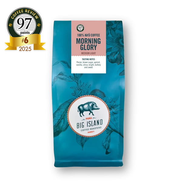 Kaʻū Morning Glory