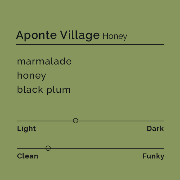 Aponte Village - Honey packshot