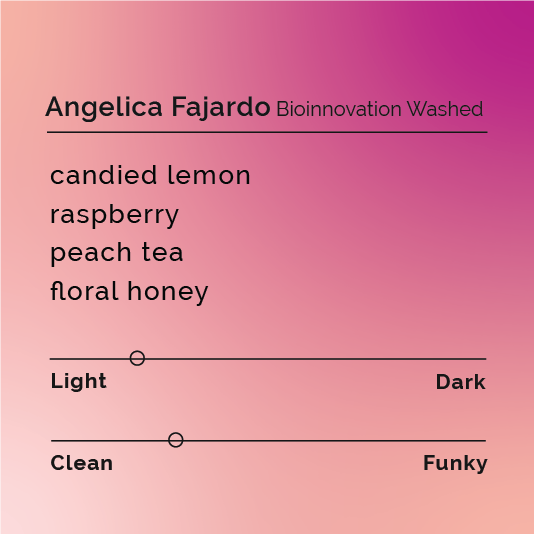 Angelica Fajardo - Bioinnovation Washed packshot