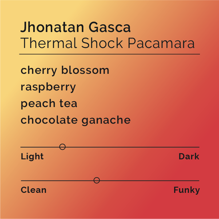 Jhonatan Gasca - Thermal Shock Pacamara packshot