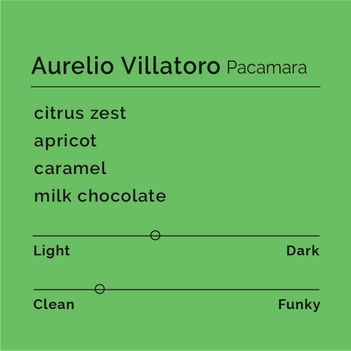 Aurelio Villatoro - Pacamara