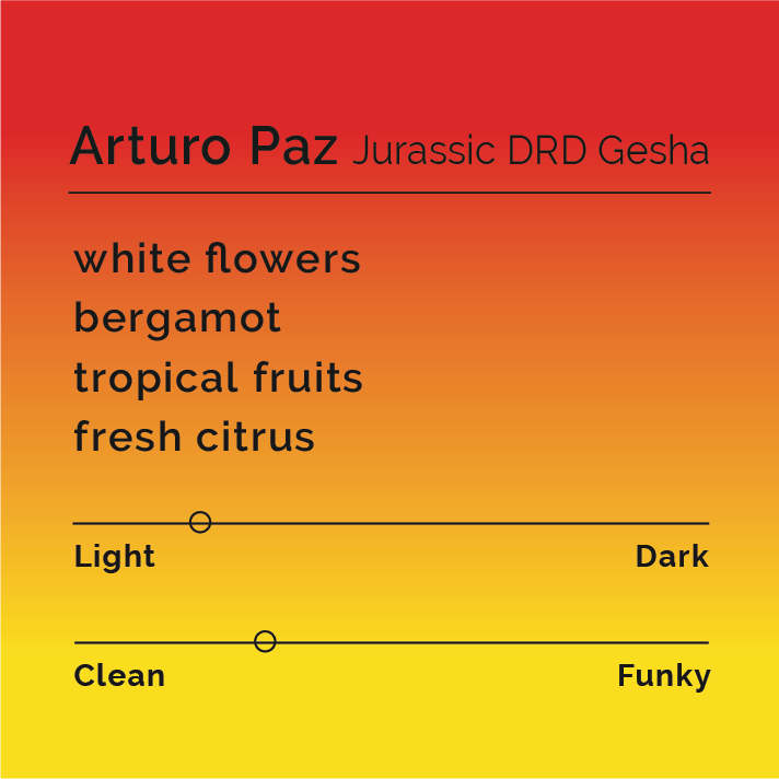 Arturo Paz Jurassic DRD Gesha packshot