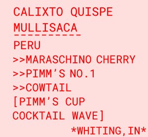 Calixto Quispe Mullisaca packshot