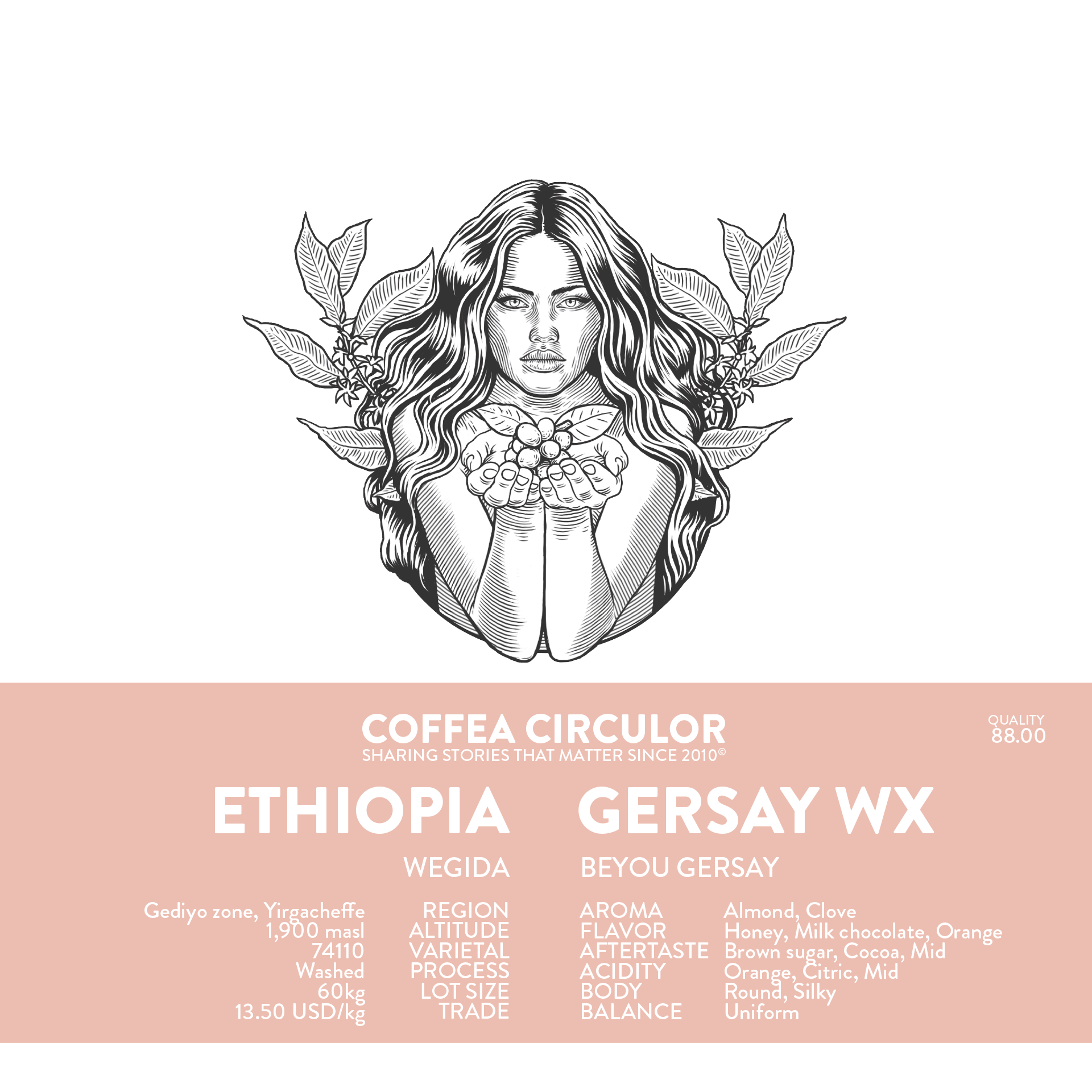 ETHIOPIA Ethiopia Gersay WX (Espresso)