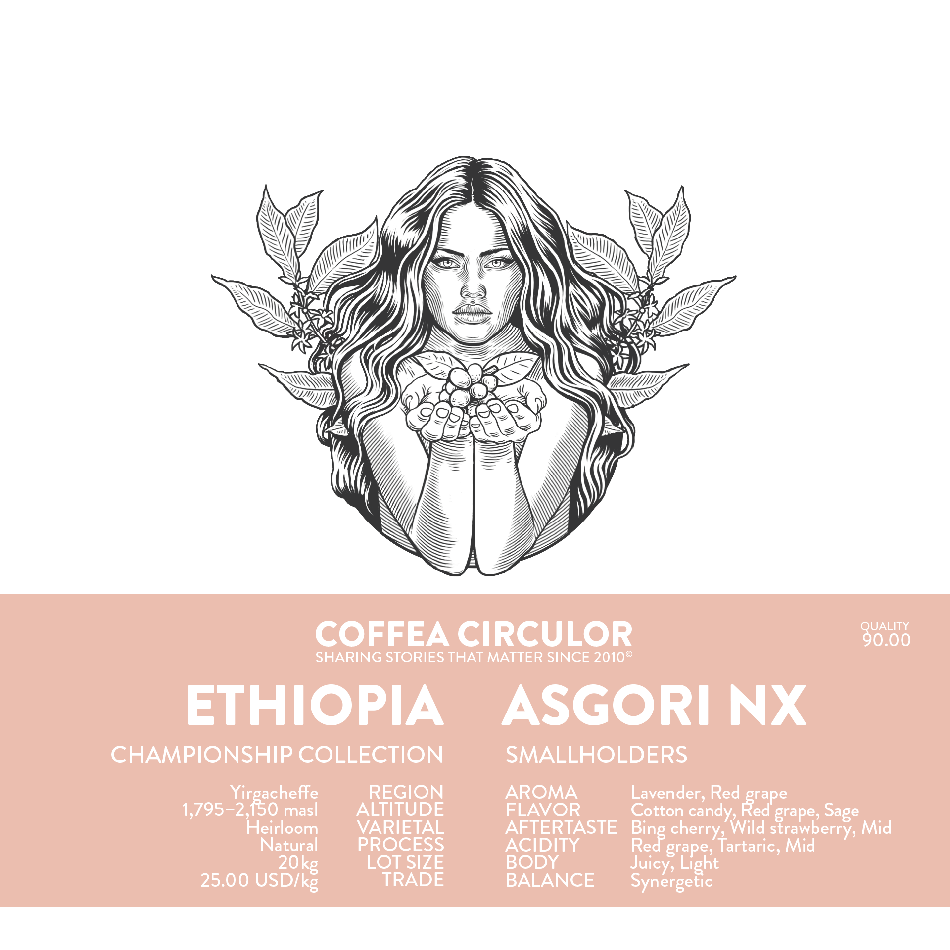 ETHIOPIA Asgori Natural NX