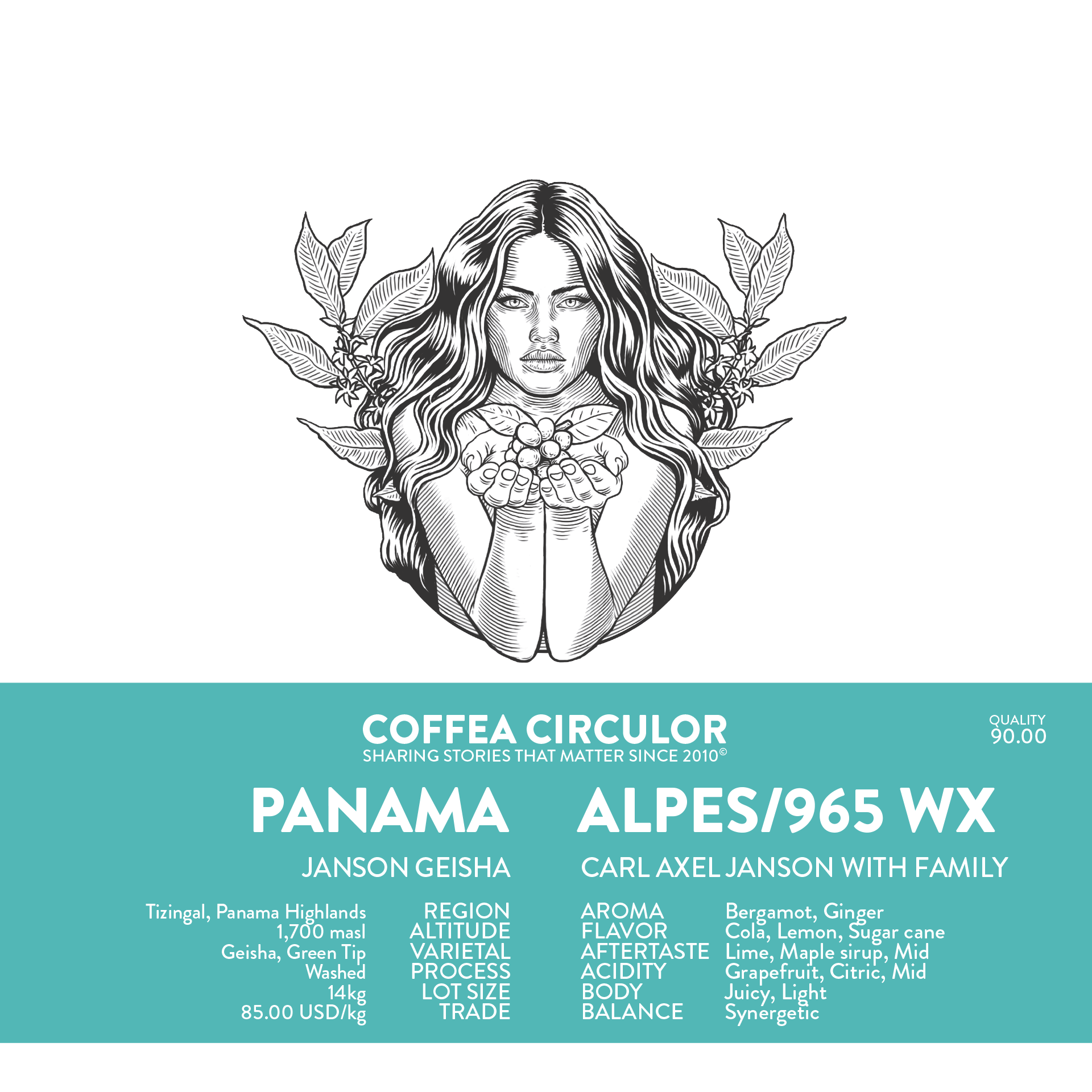 PANAMA Janson Geisha Alpes /965 Washed WX