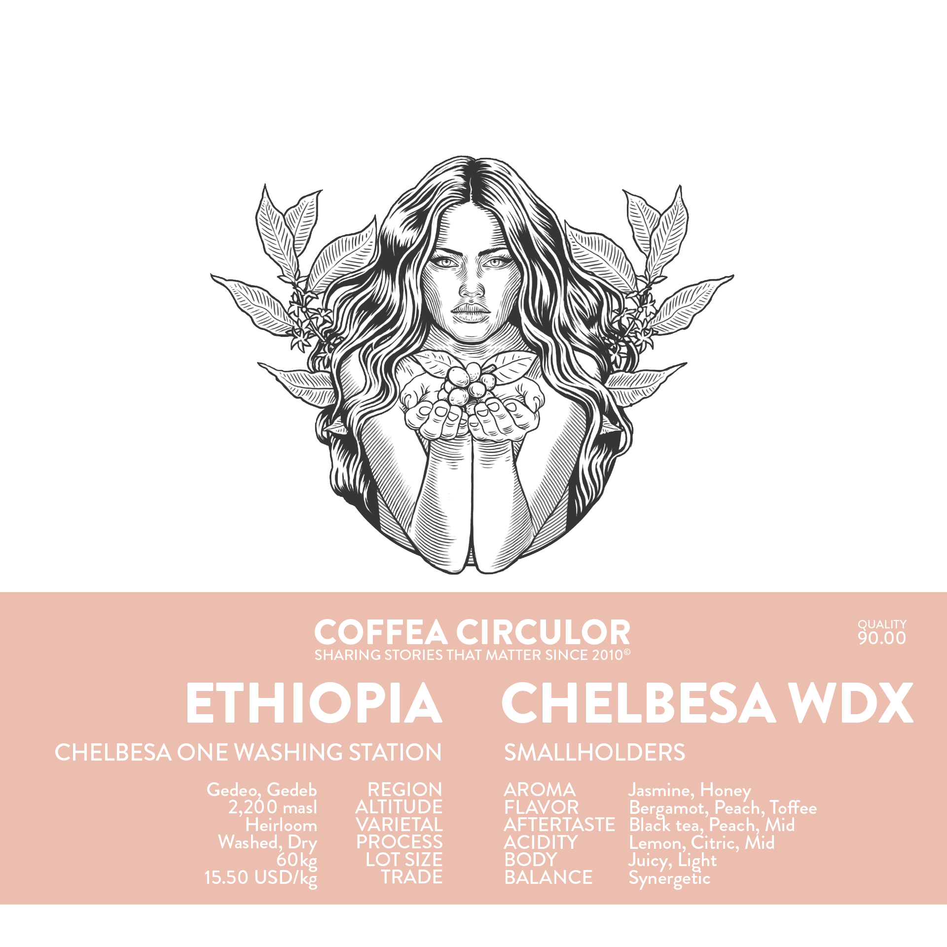 ETHIOPIA Chelbesa Washed Dry WDX