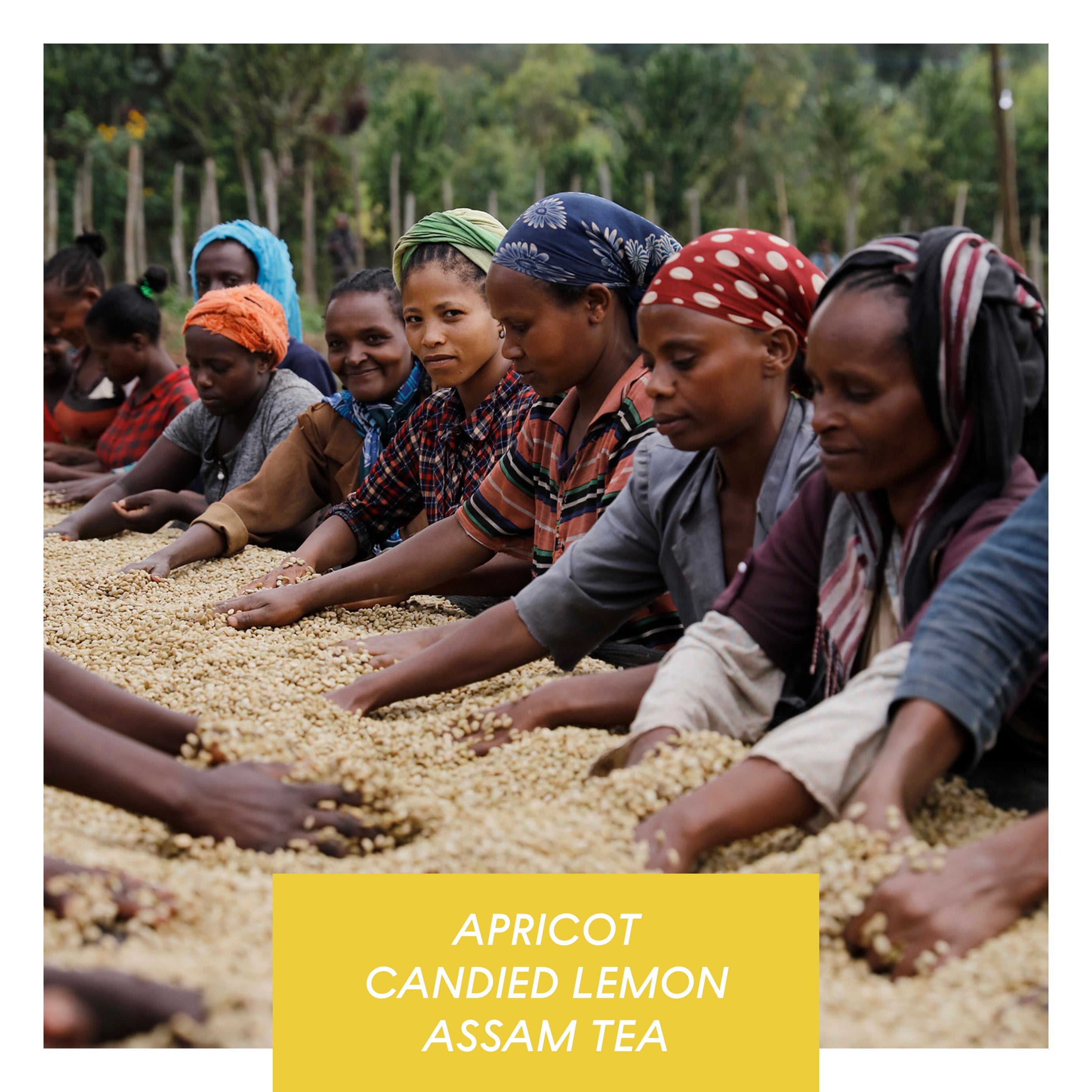 Hunkute, Washed 74410 & 74112, Ethiopia packshot