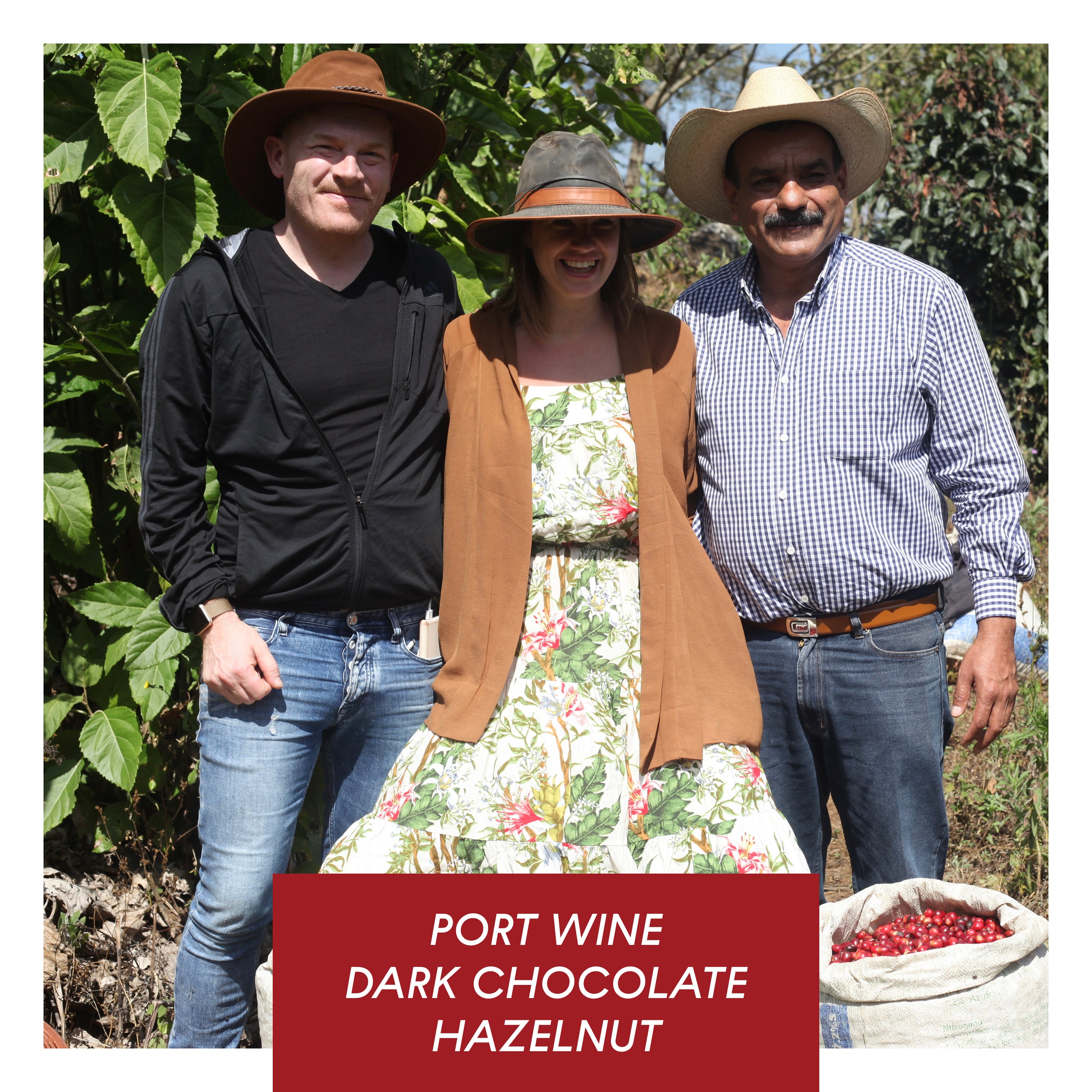 Los Altares, Anaerobic Natural Caturra, Guatemala packshot