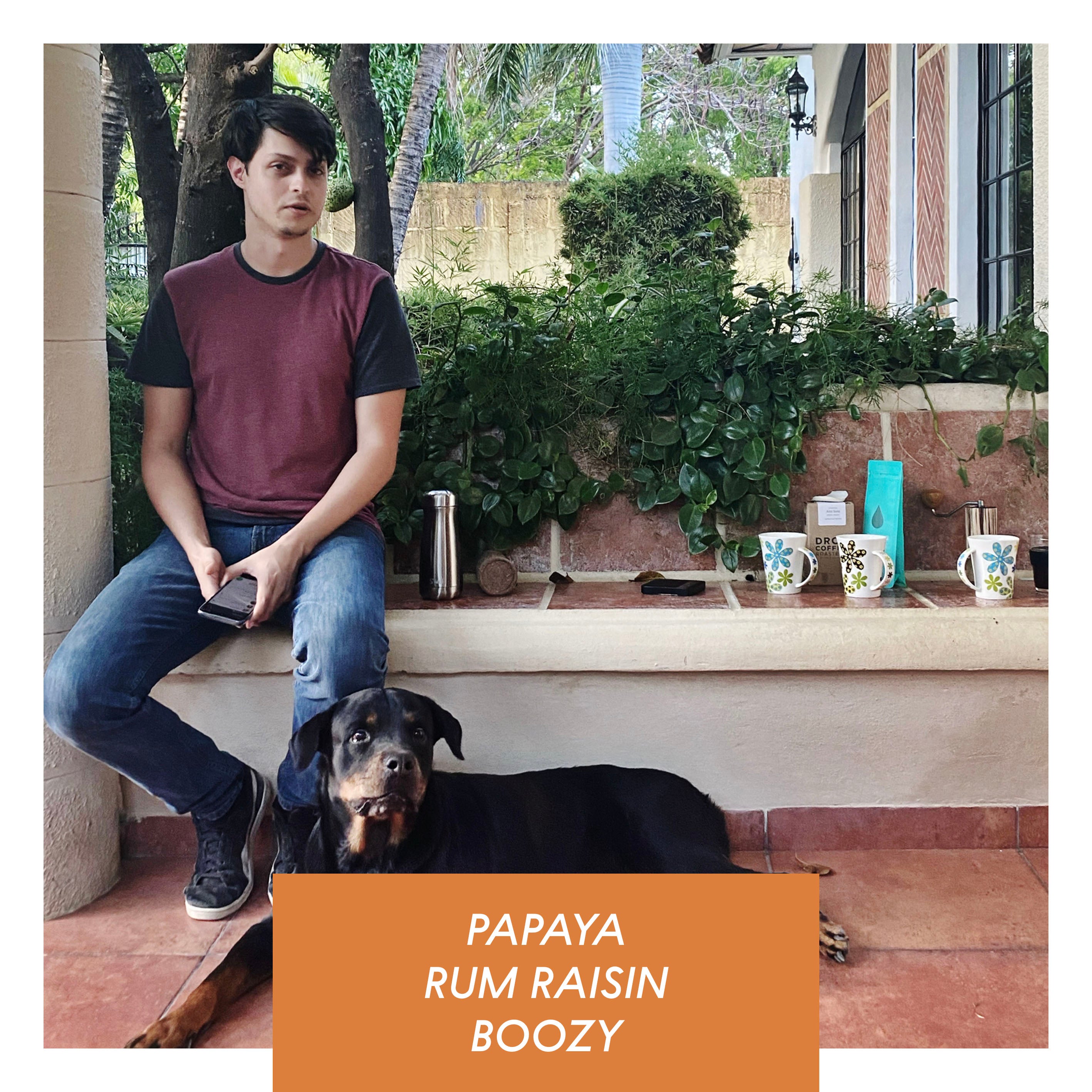 Las Delicias, Natural Java, Nicaragua packshot