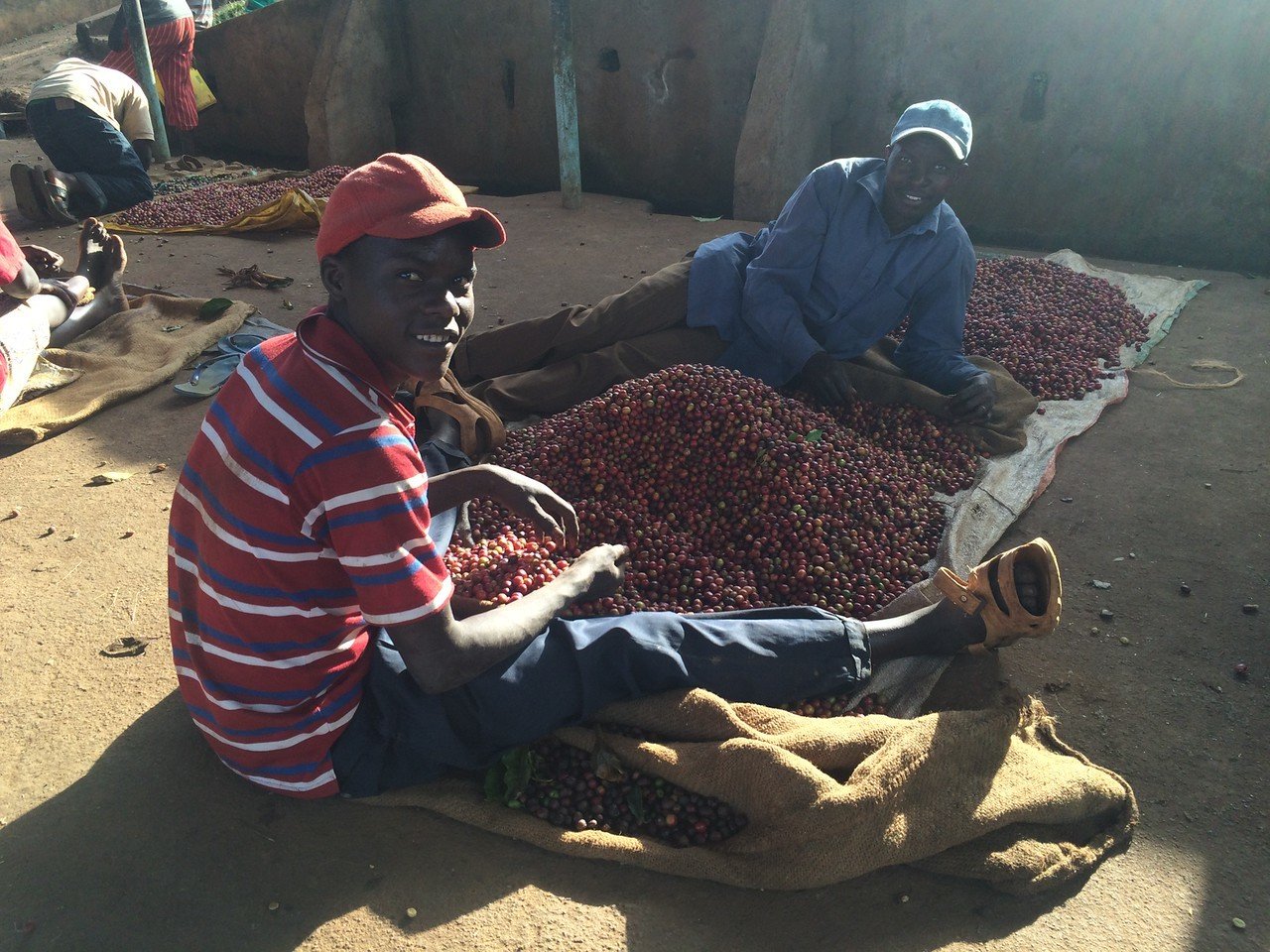 Kenya - AB Baragwi Thimu #034 packshot