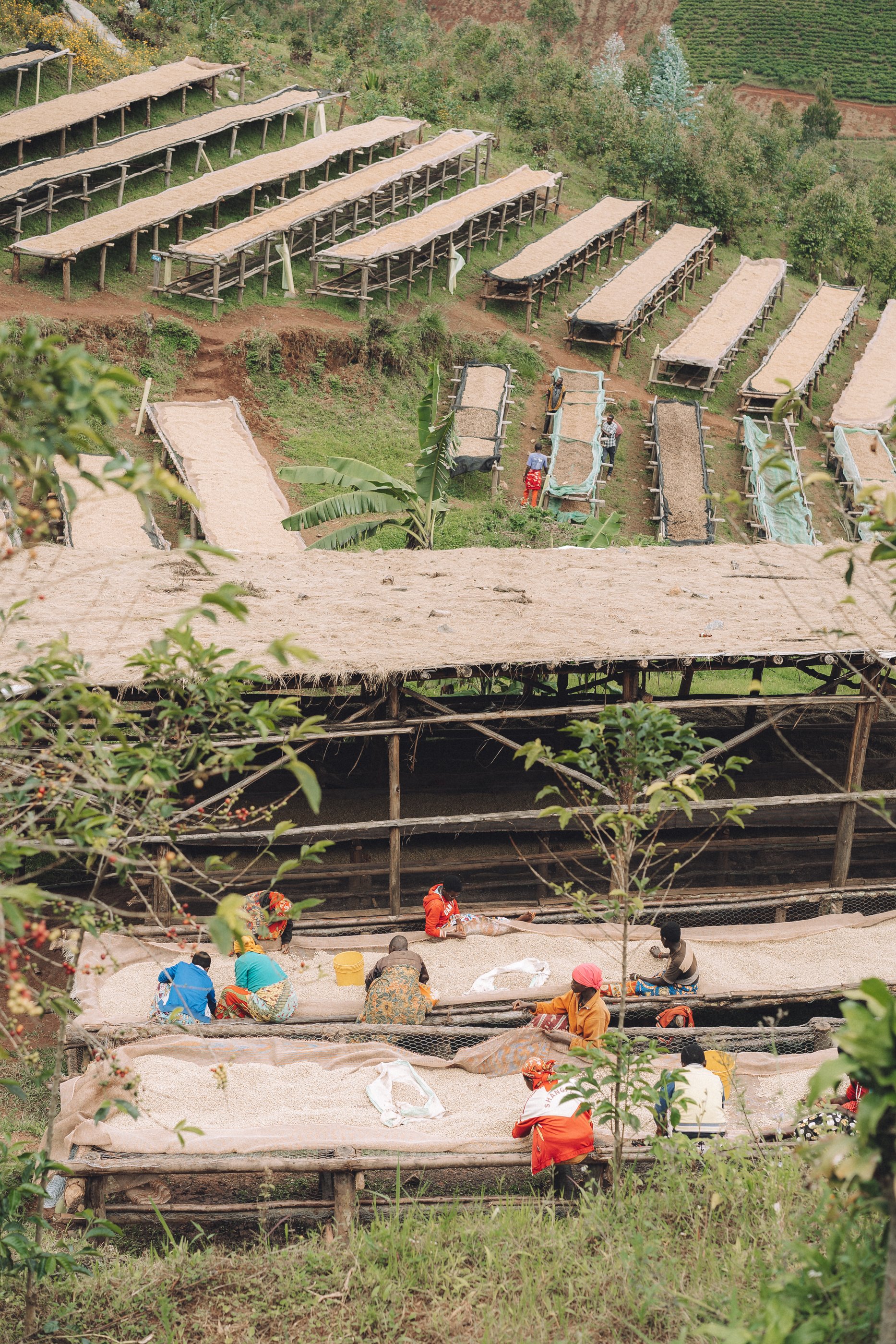 Burundi - Heza Hills packshot