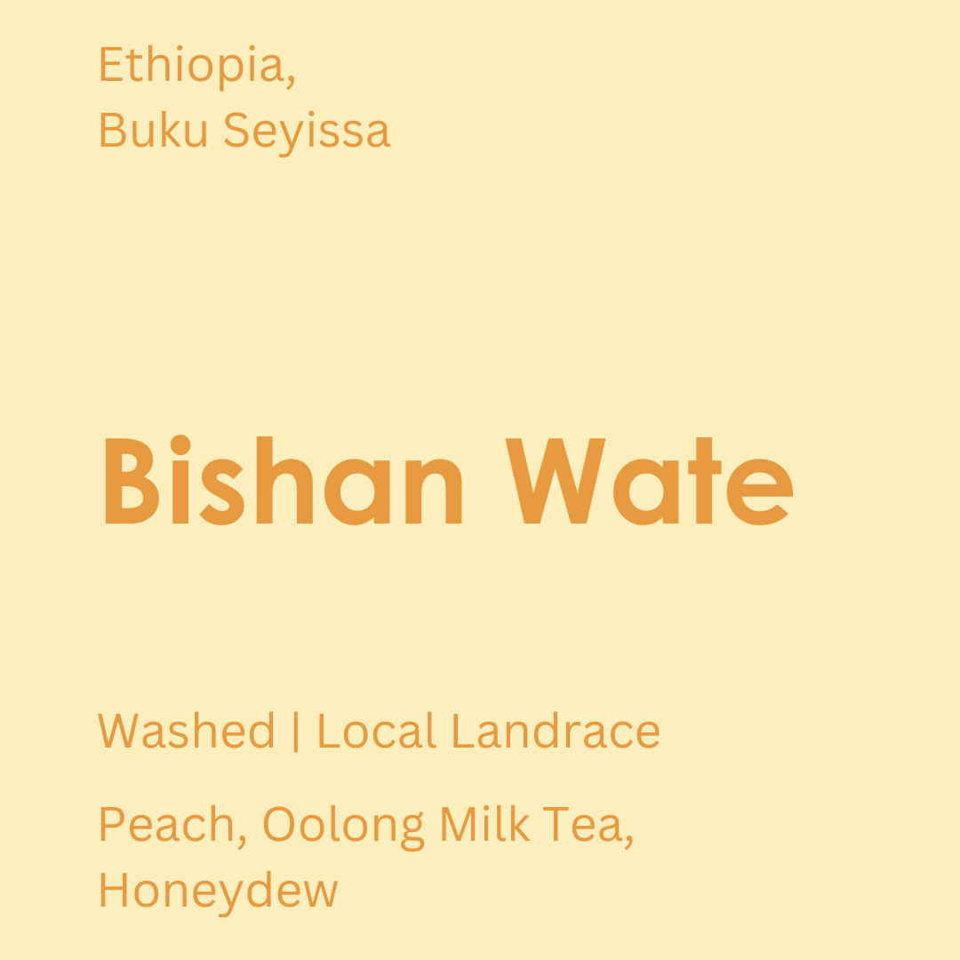 Ethiopia - Bishan Wate Washing Station packshot
