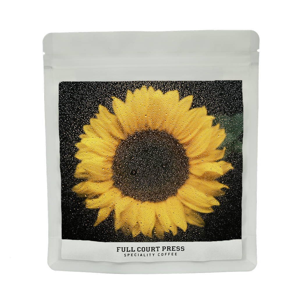 Roiber Beccera Gesha - Filter packshot