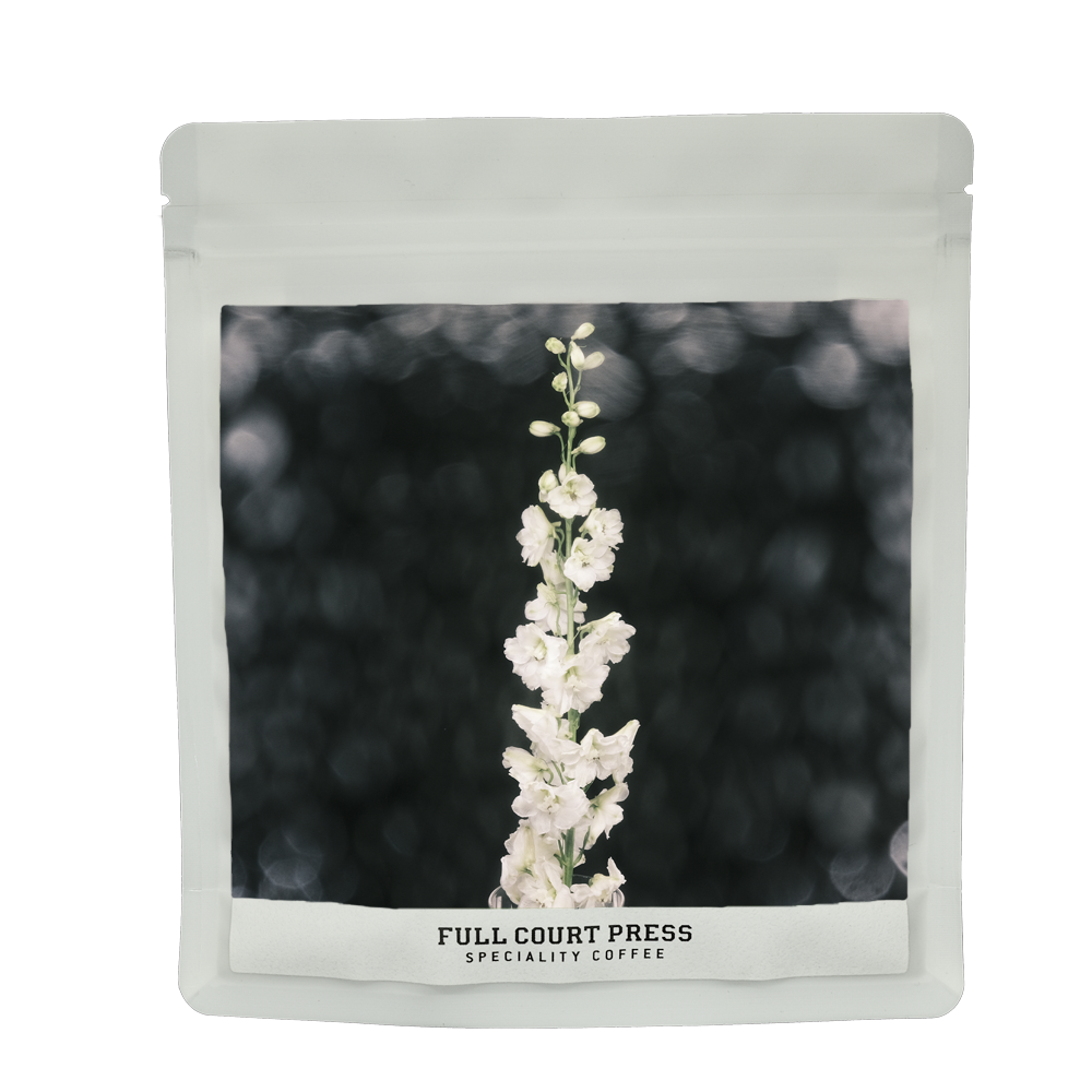 Venus Geisha - Filter packshot