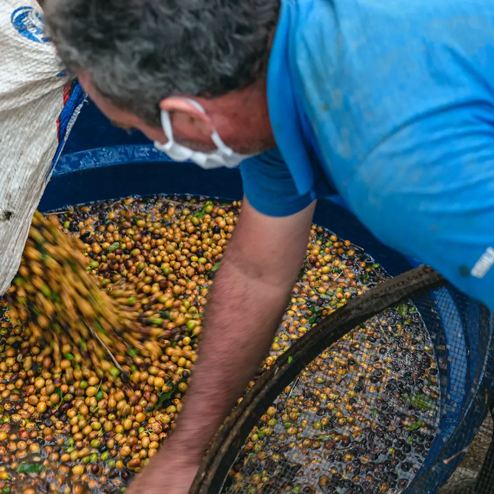 Brasilien Santa Catarina packshot