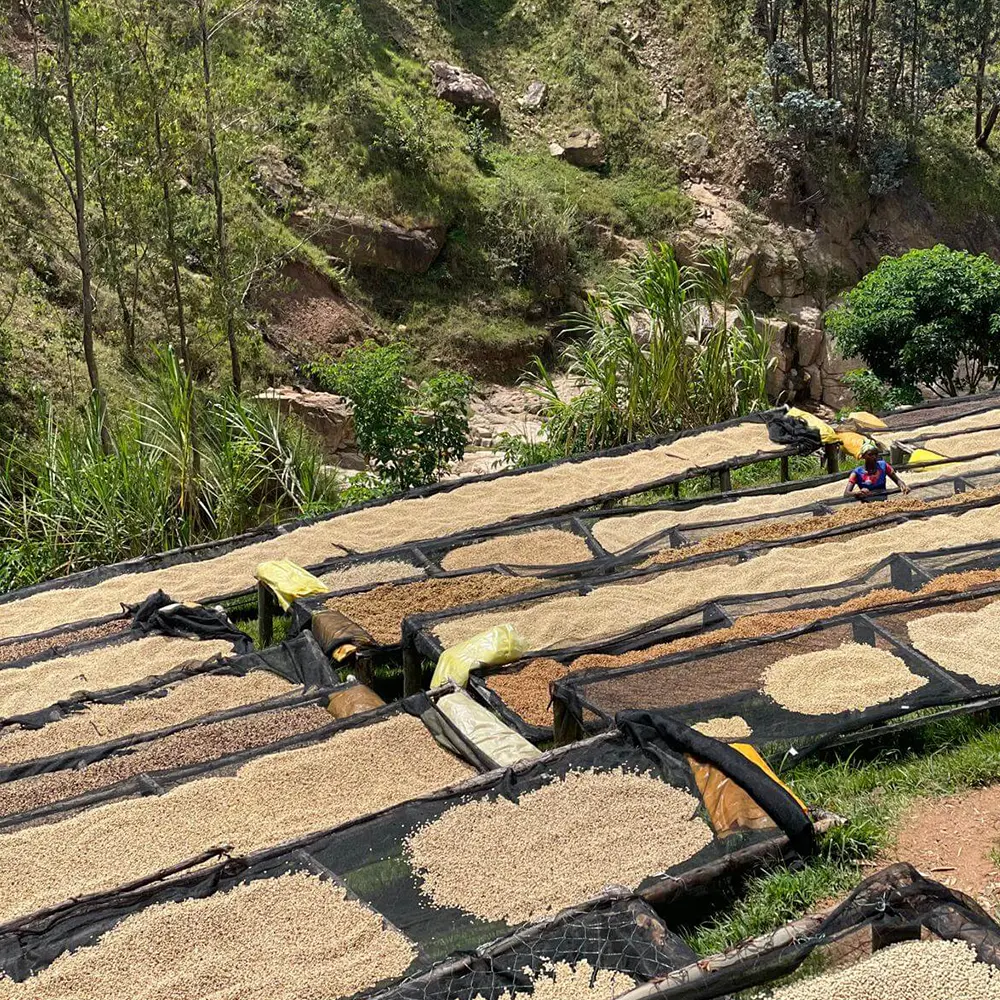 Rwanda Shyira packshot