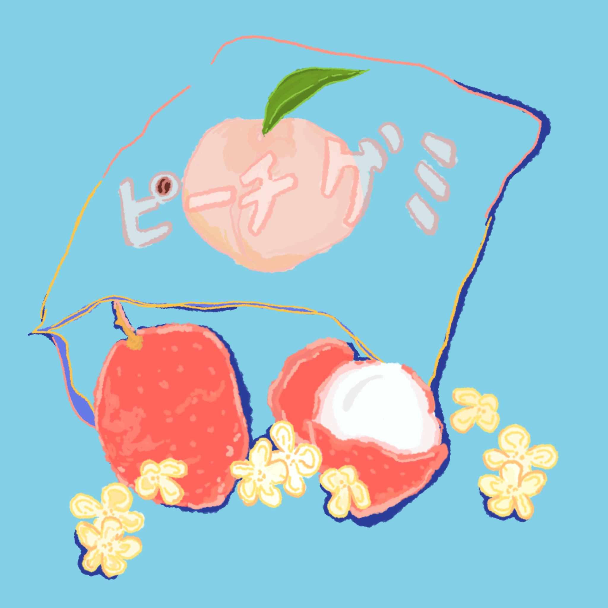 Diego Samuel Bermudez "Lychee" - Finca El Paraiso packshot