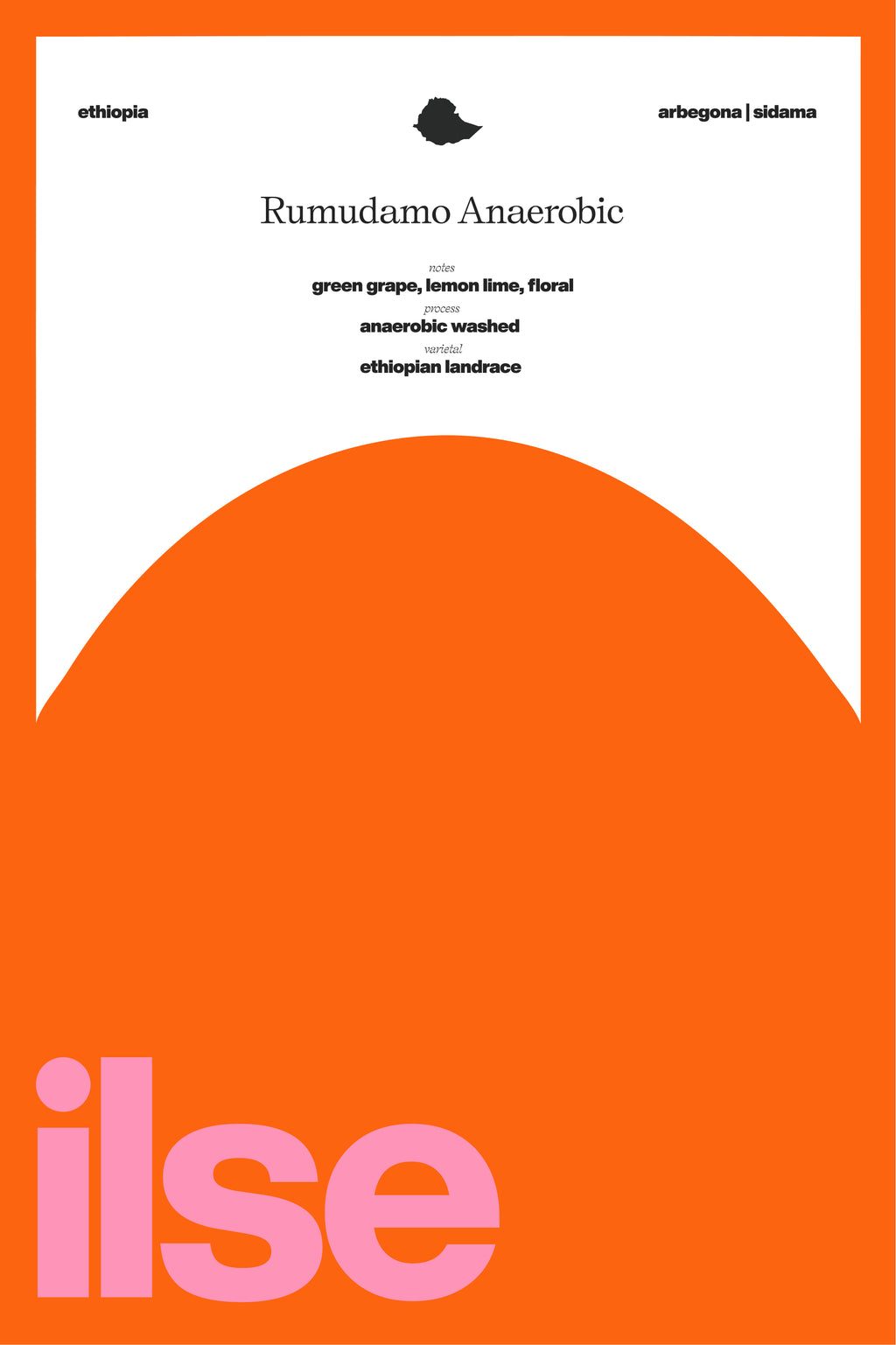 Ethiopia | Rumudamo Anaerobic packshot