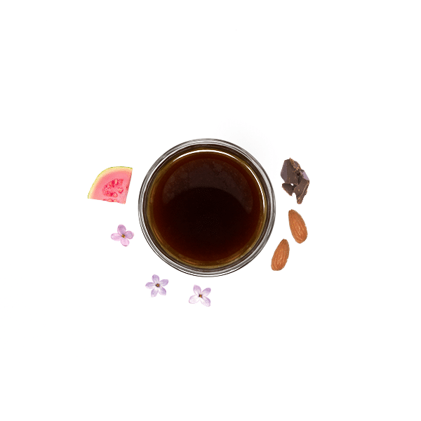 Twisted V.9 - Espresso packshot