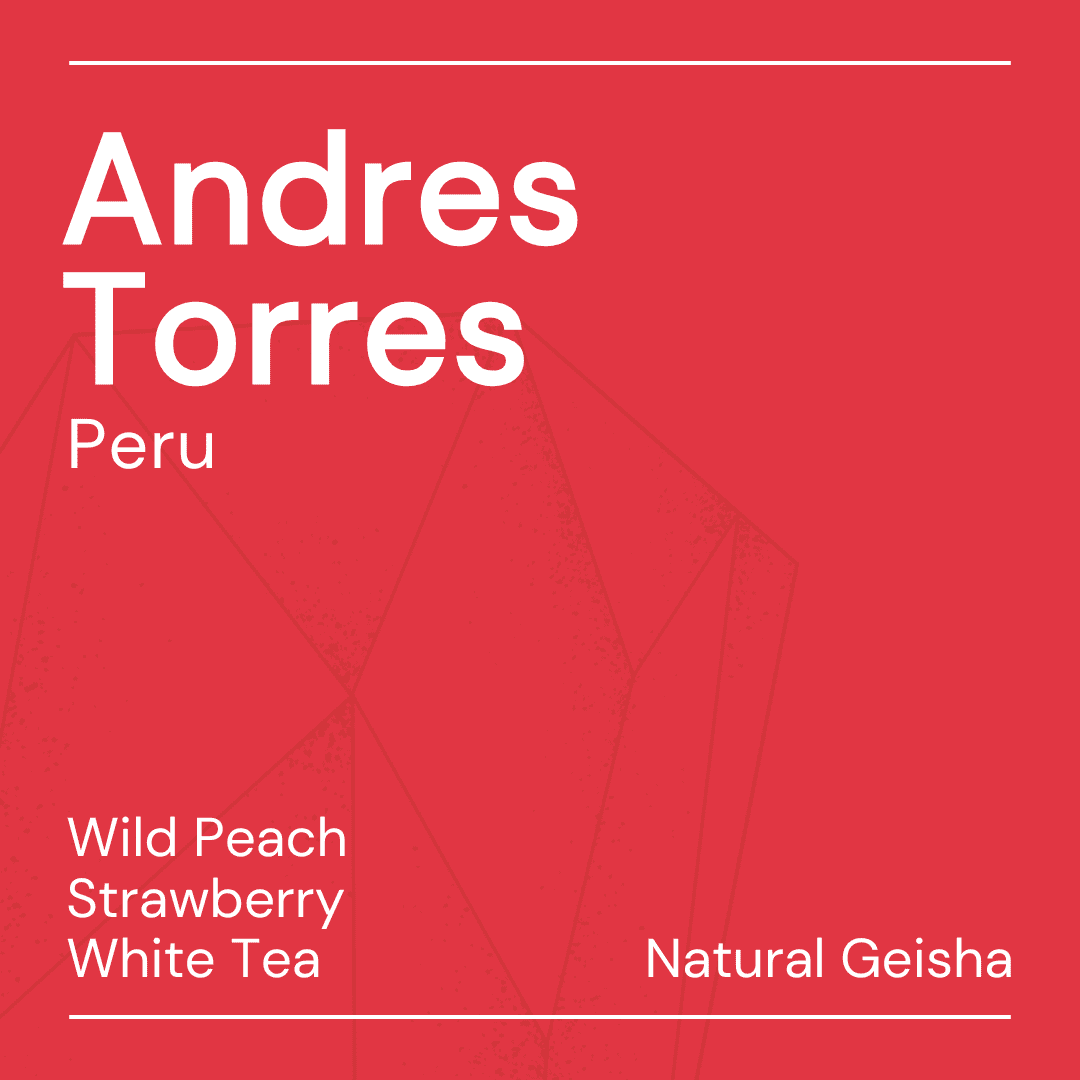 Andrès Torres Geisha - Filter packshot
