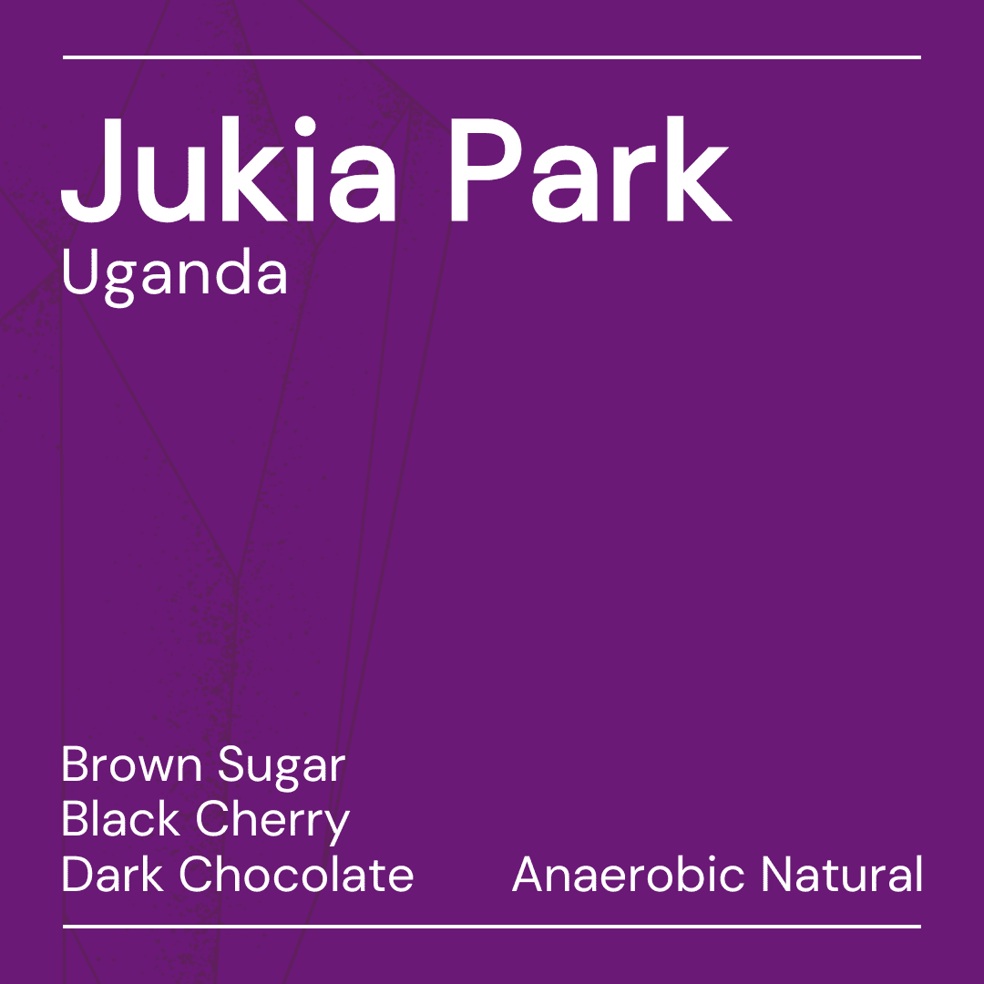 Jukia Park - Espresso packshot