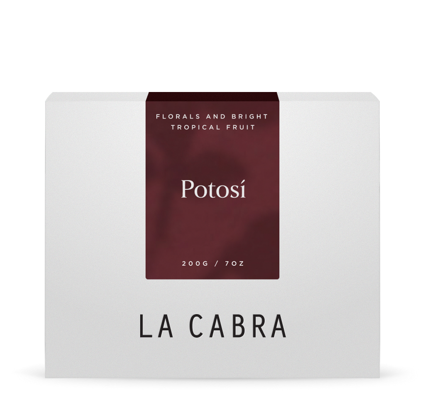 Potosí Washed packshot