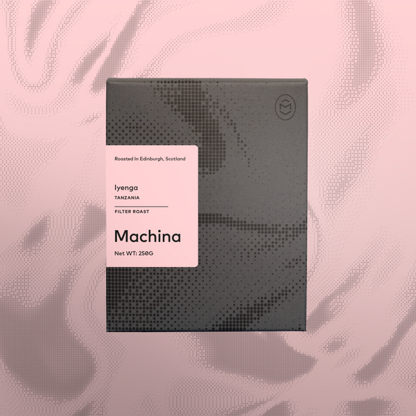 Iyenga, Tanzania - Filter packshot