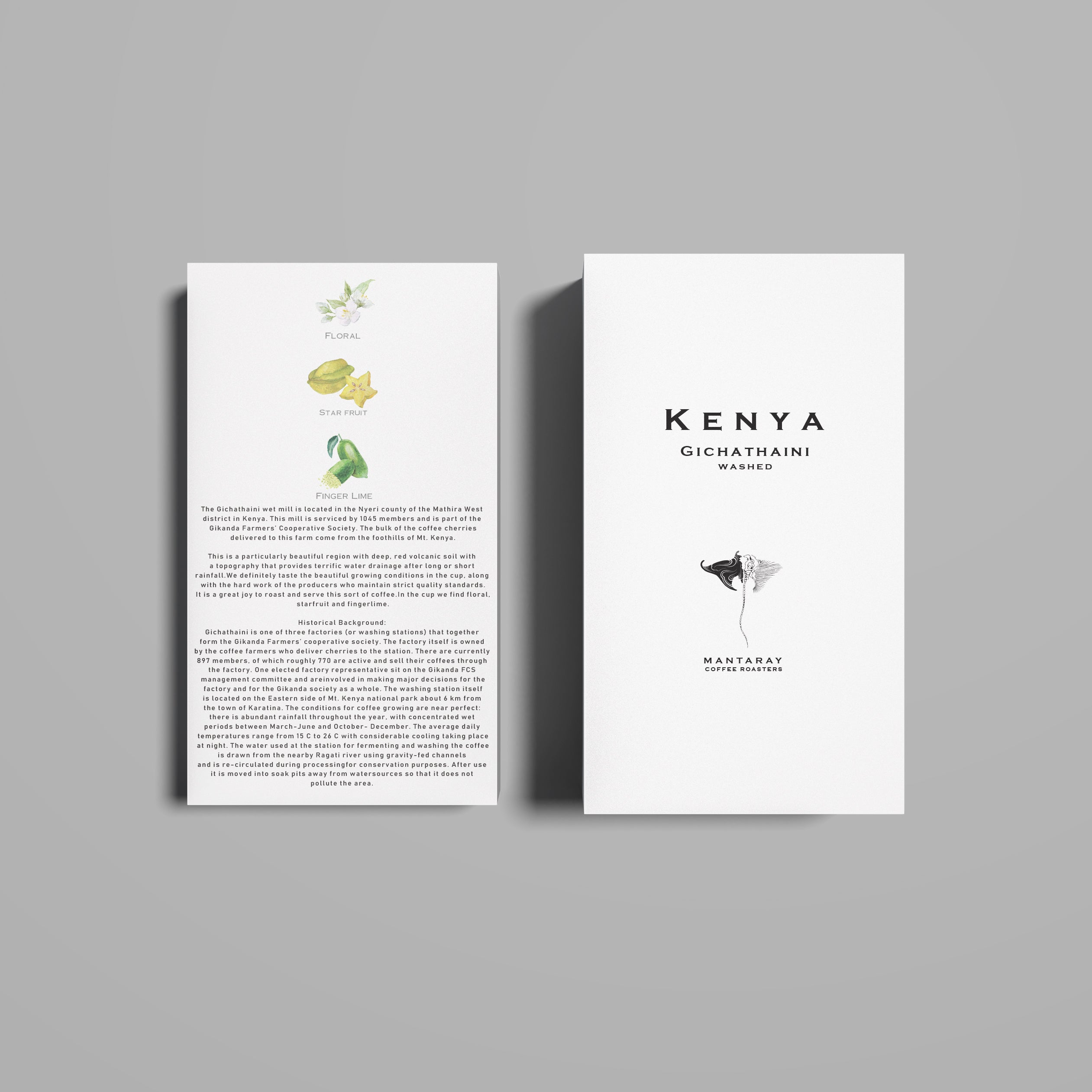Kenya Gichathaini Washed - Filter packshot