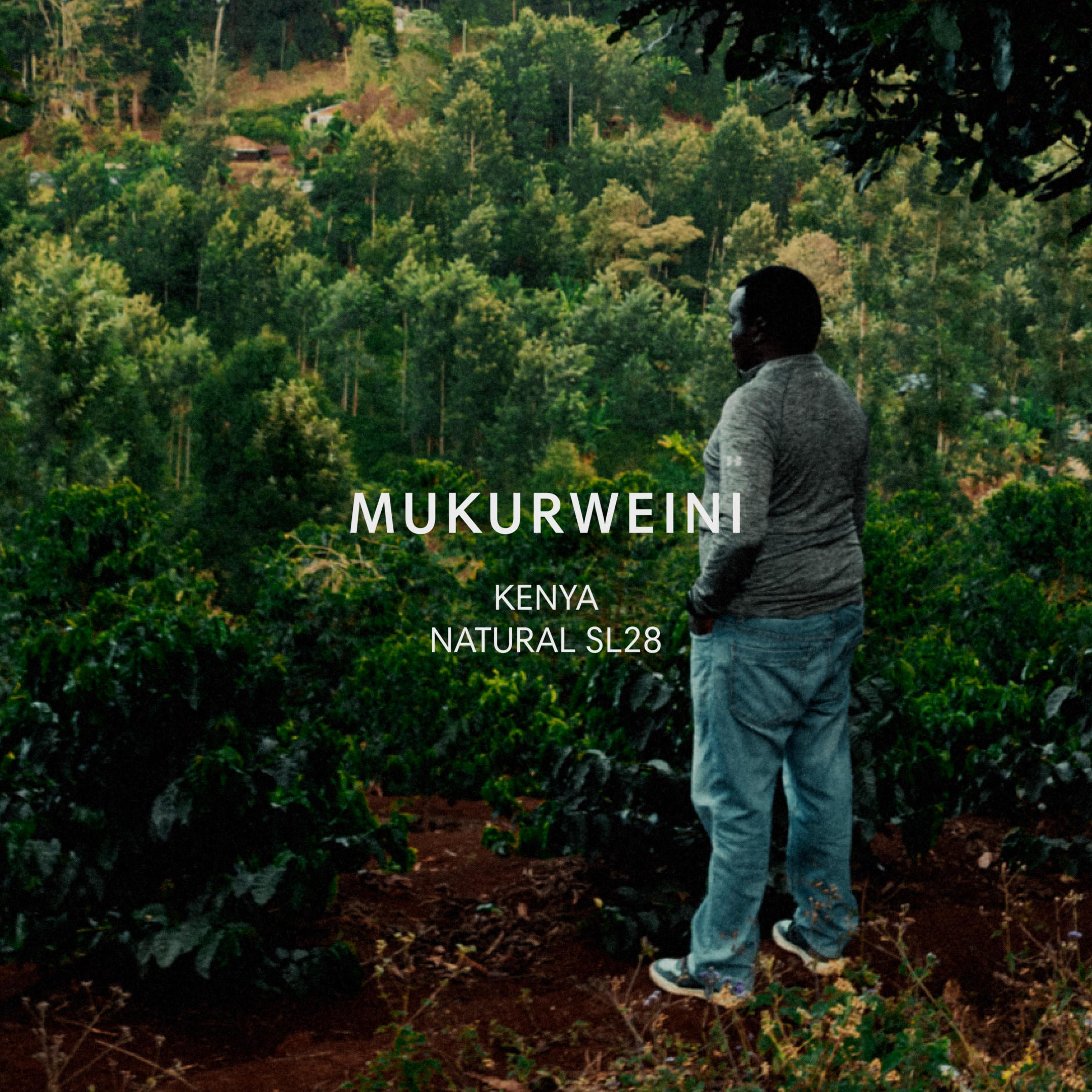 MUKURWEINI NATURAL packshot