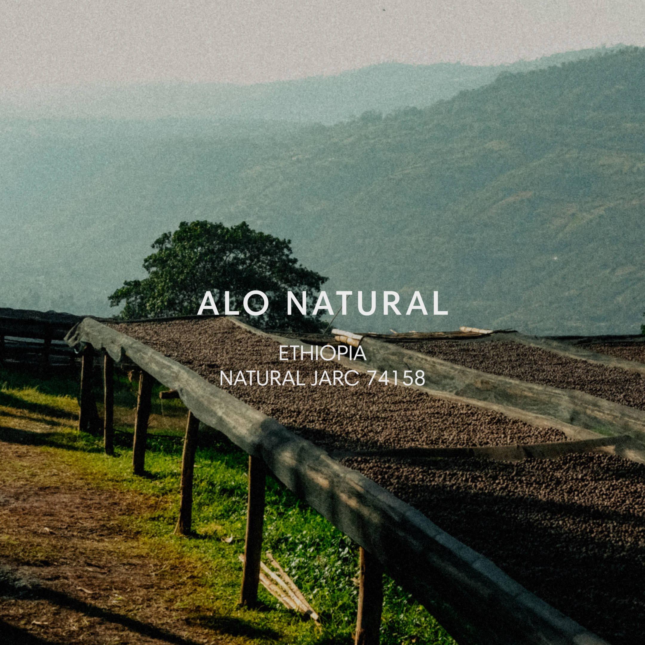 ALO NATURAL packshot