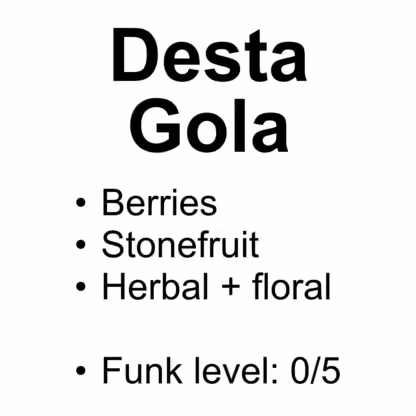 Desta Gola – Washed Landraces packshot