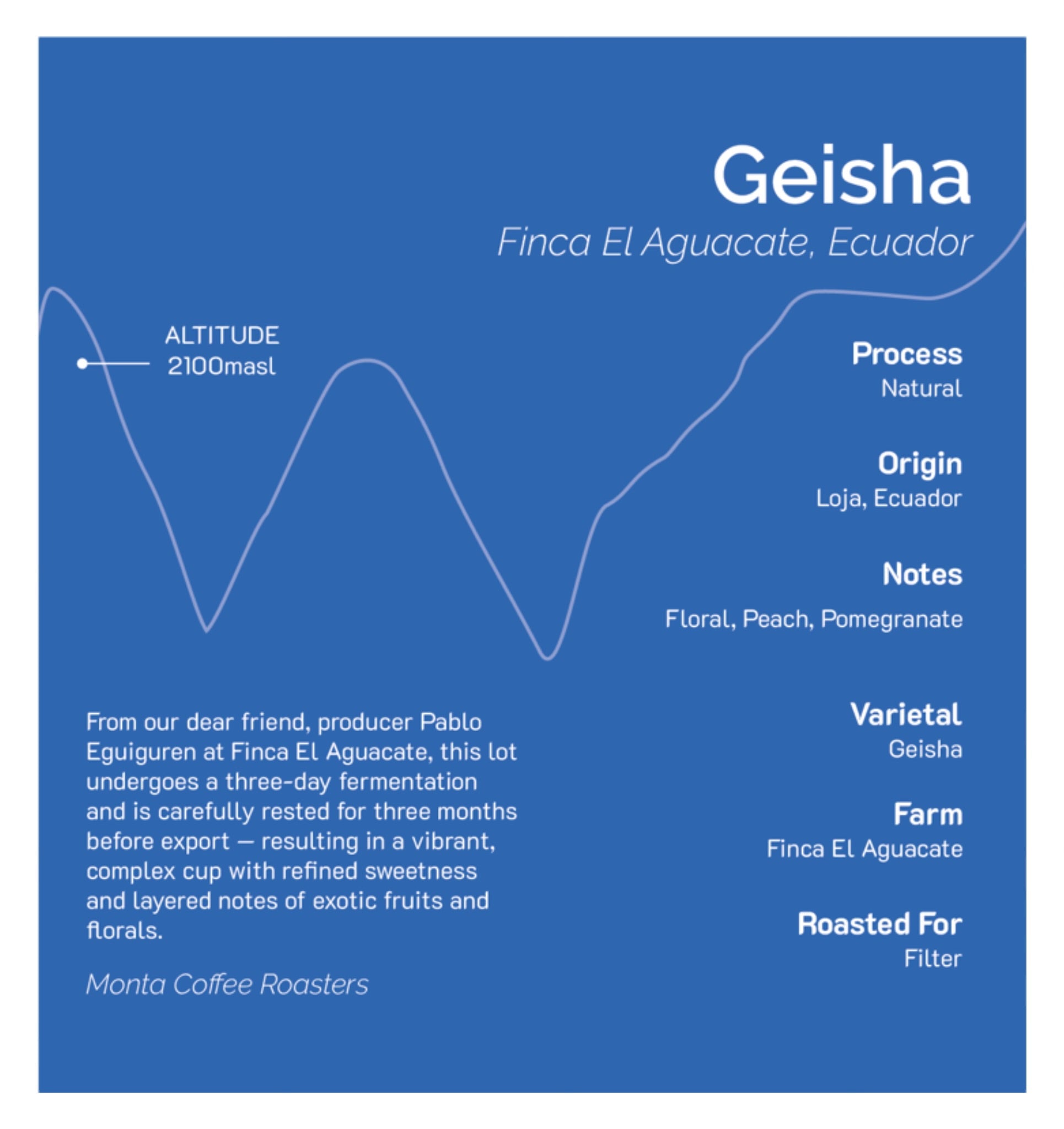 Ecuador - Pablo Eguiguren Geisha Natural packshot