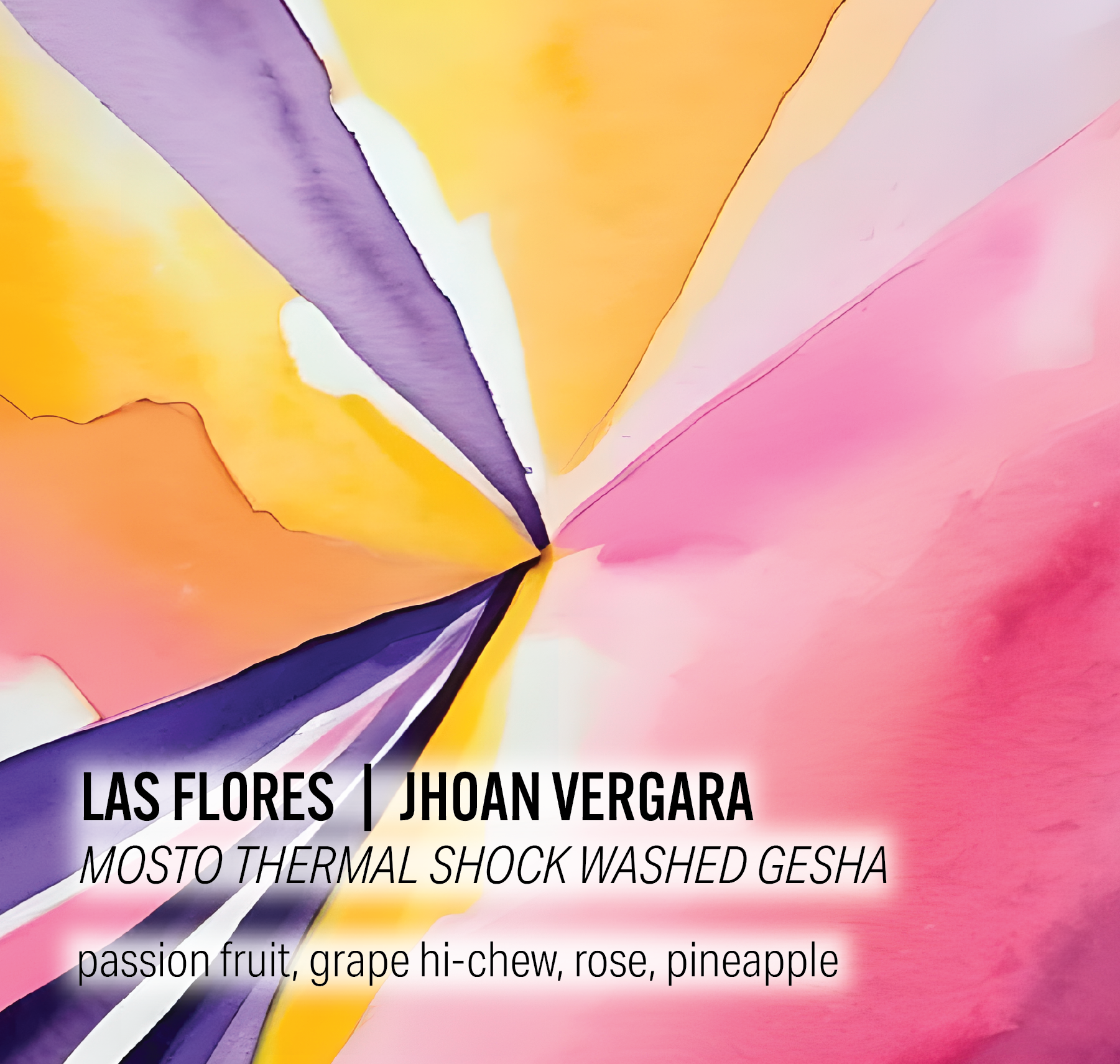 Jhoan Vergara Las Flores - Mosto Thermal Shock Washed Gesha - Colombia packshot