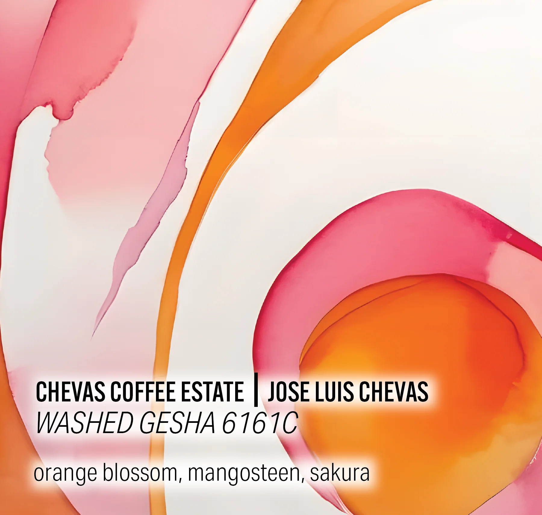 Chevas Coffee Estate - Washed Gesha 6161C - Panama packshot