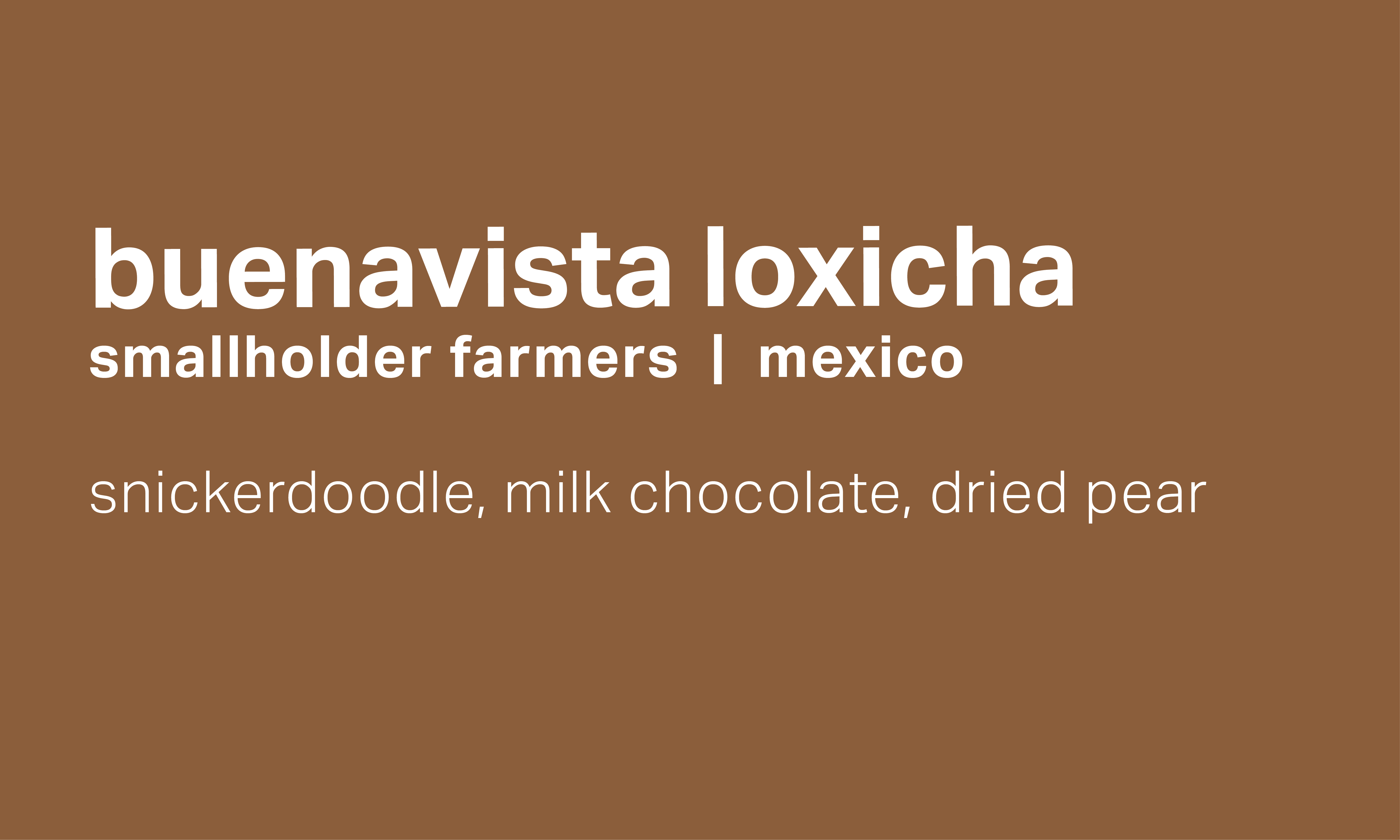 Buenavista Loxicha - Washed Field Blend - Mexico packshot