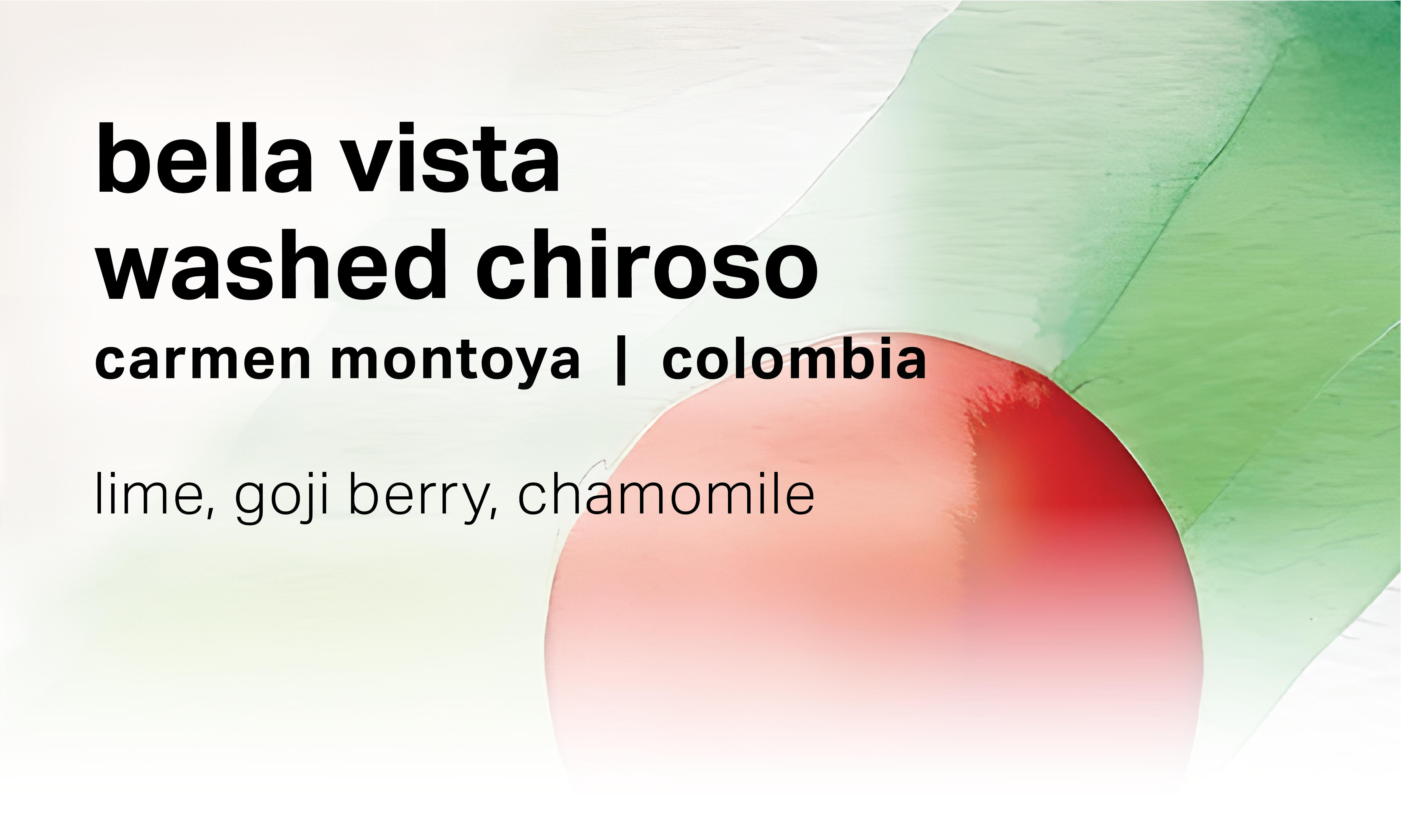 Carmen Montoya Bella Vista - Washed Chiroso - Colombia packshot