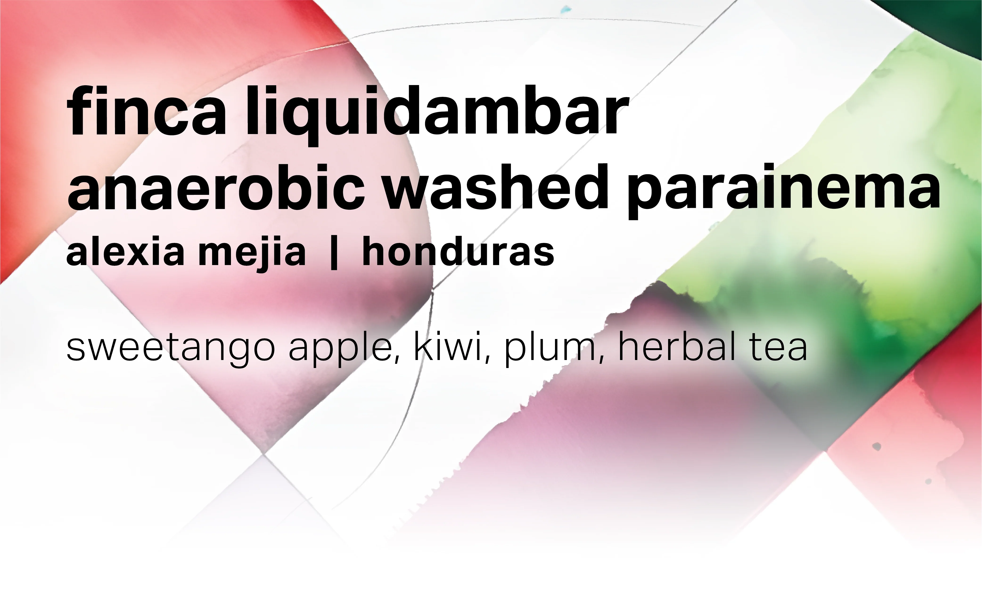 Alexia Mejia Finca Liquidambar - Anaerobic Washed Parainema - Honduras packshot