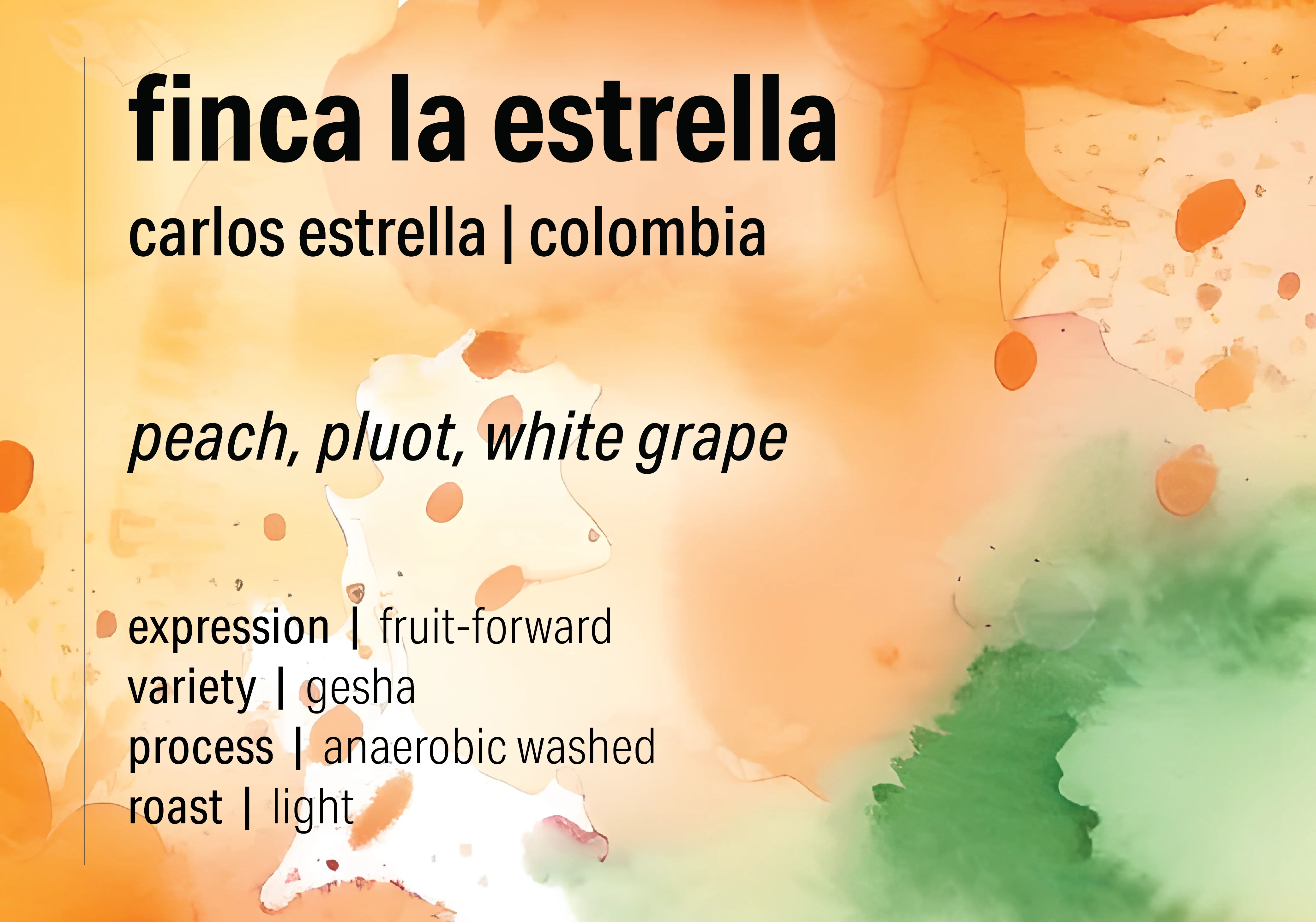 Carlos Estrella Gesha Washed - Finca La Estrella Lot #1 - Colombia packshot