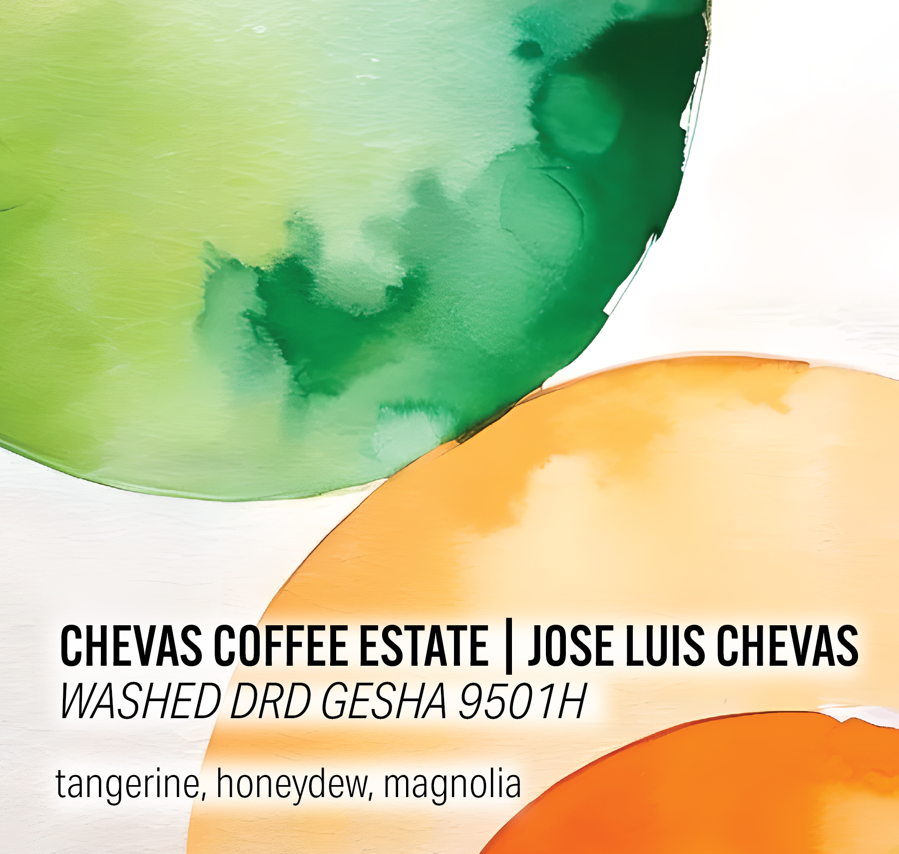 Chevas Coffee Estate - Washed DRD Gesha 9501H - Panama packshot