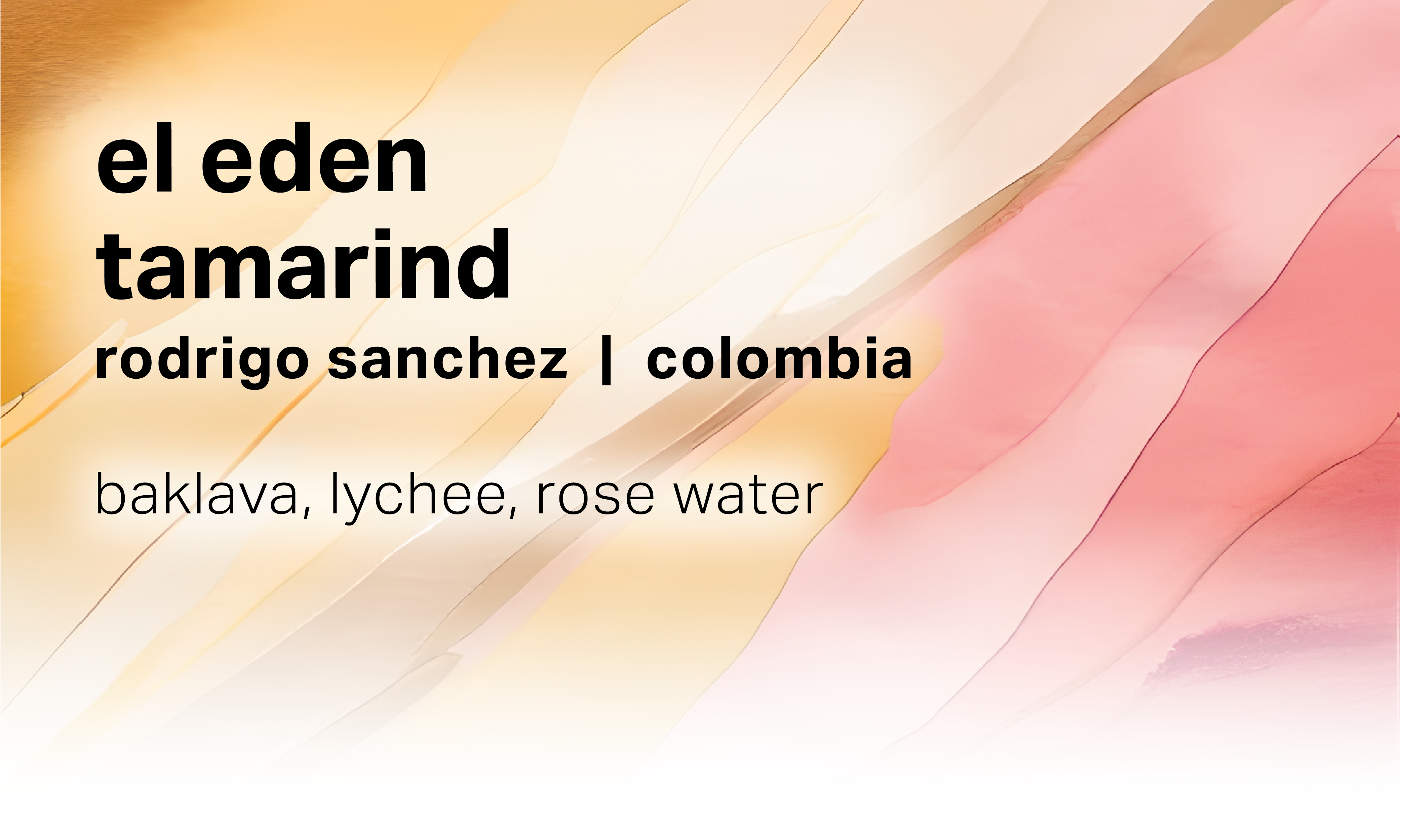 Rodrigo Sanchez El Eden - Tamarind Washed Purple Caturra Bourbon - Colombia packshot
