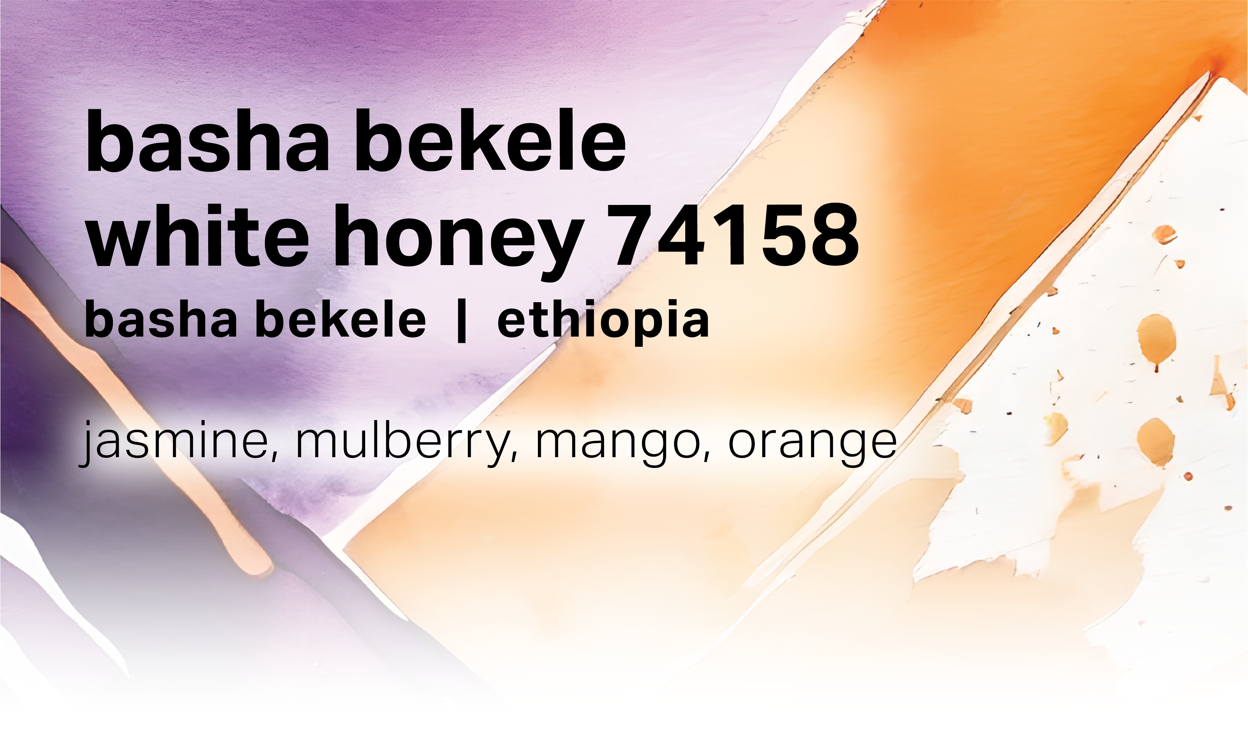 Basha Bekele Murago - White Honey Washed Landrace - Ethiopia packshot