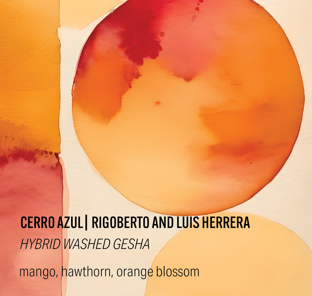 Cerro Azul Hybrid Washed Gesha - Colombia packshot